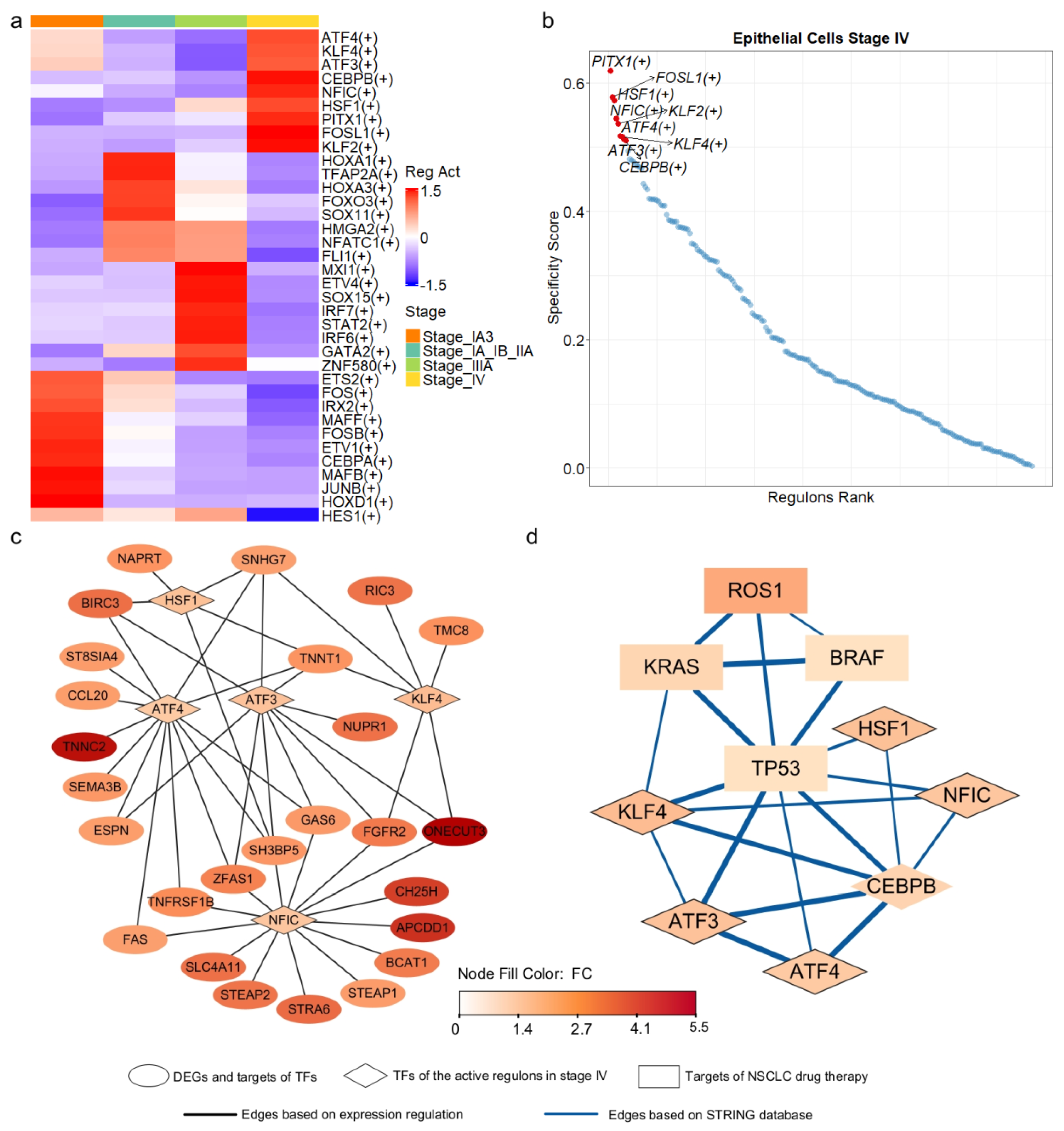 Biomedicines 13 01606 g004