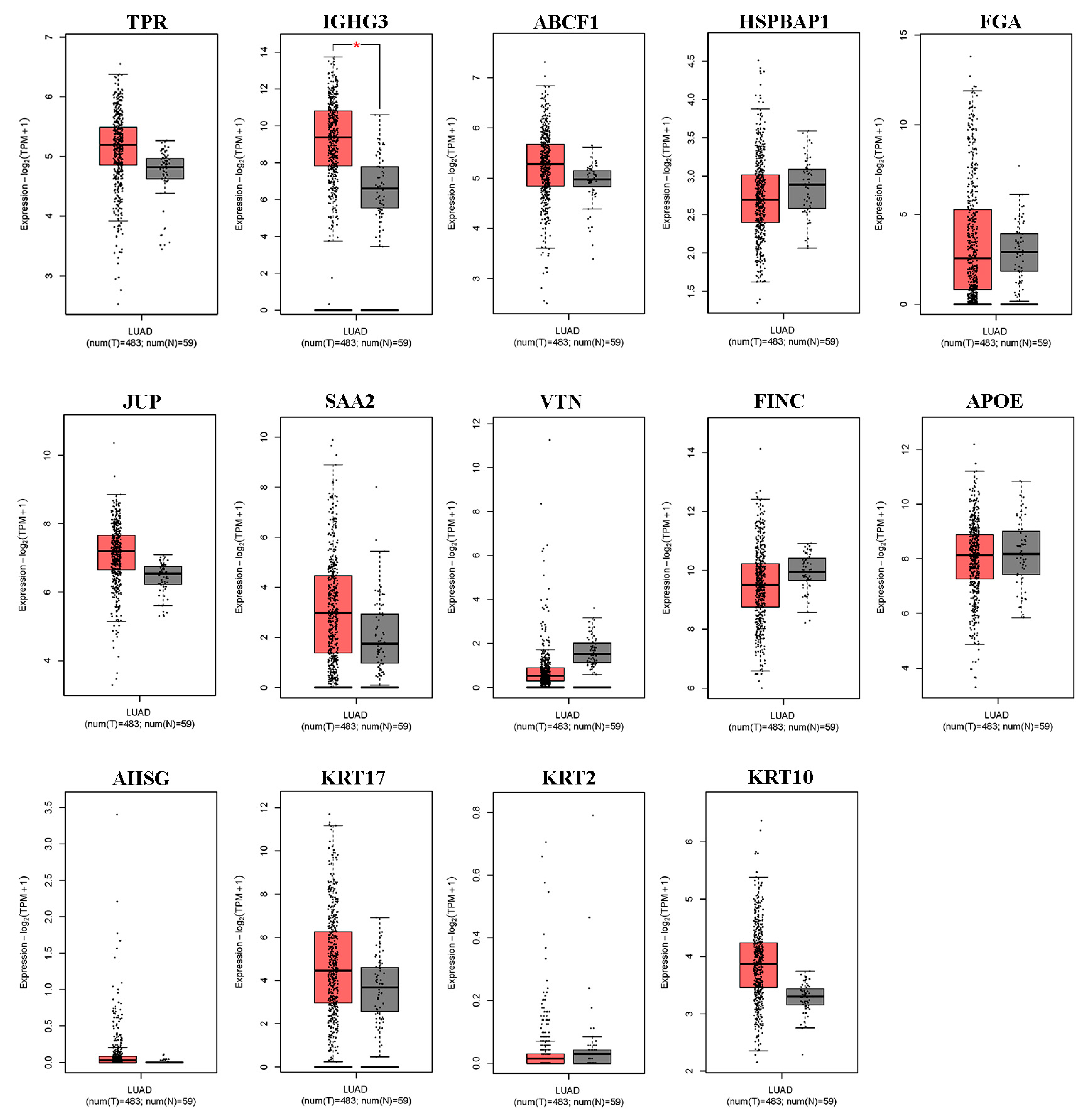 Biomedicines 13 01608 g002