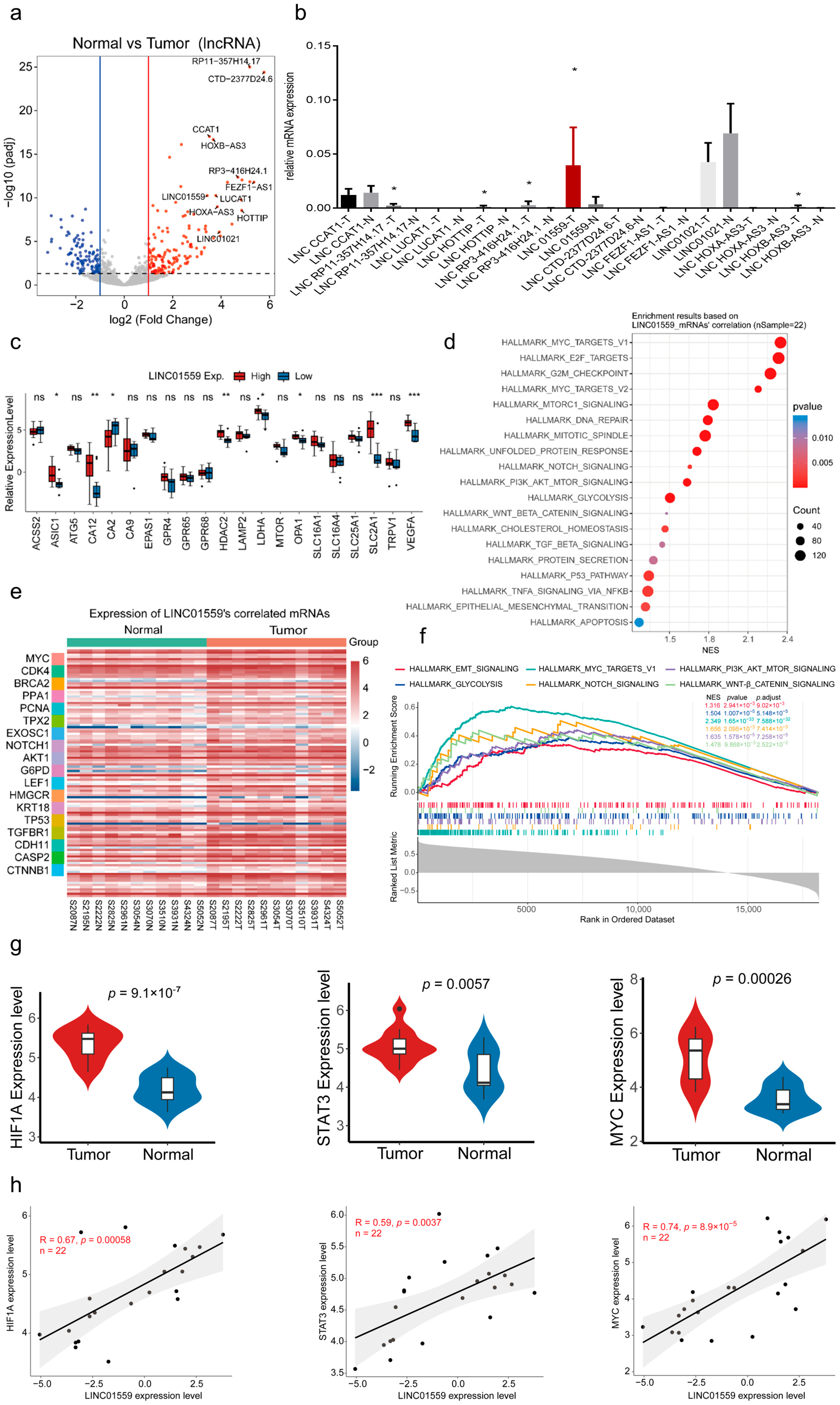 Biomedicines 13 01611 g002