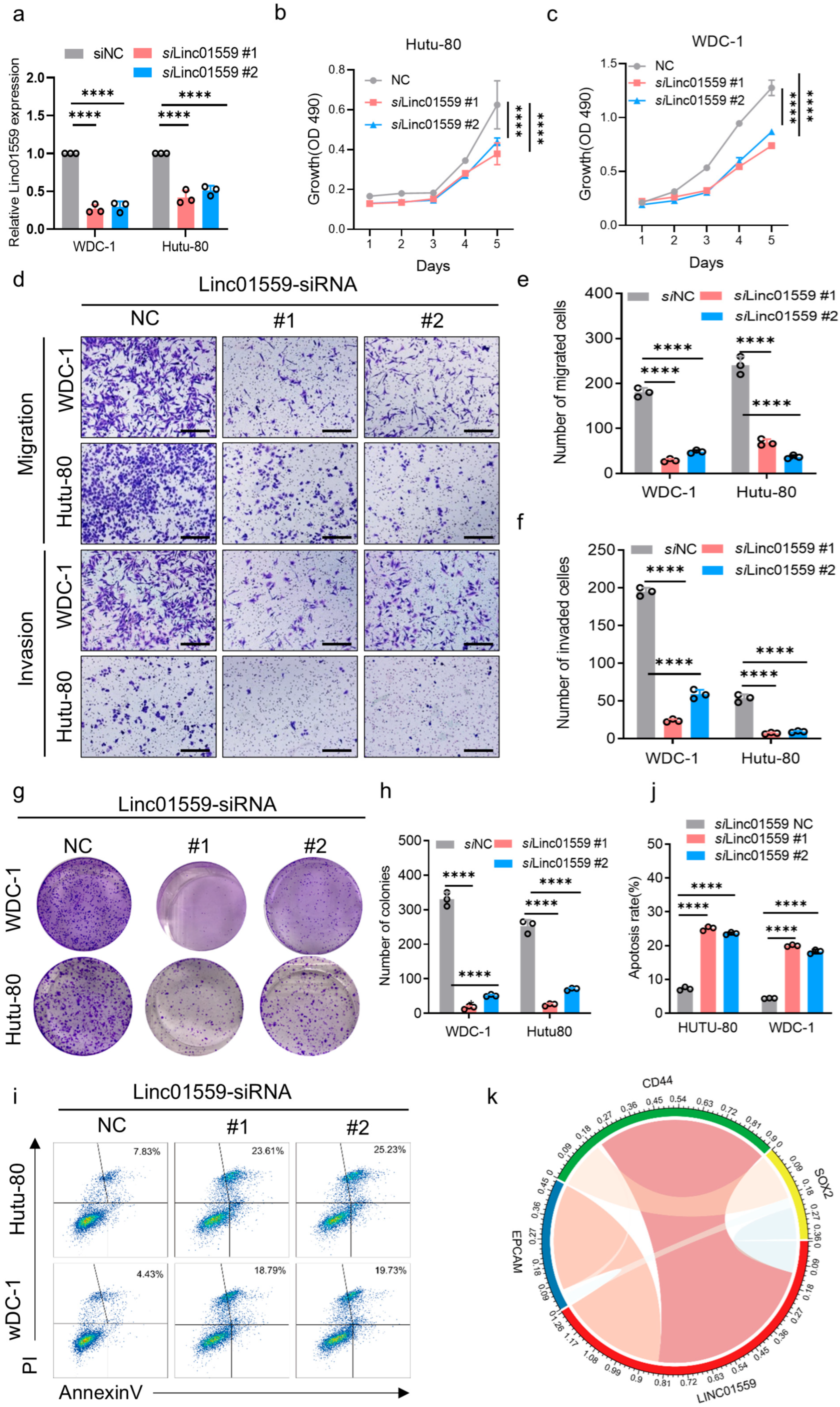 Biomedicines 13 01611 g003