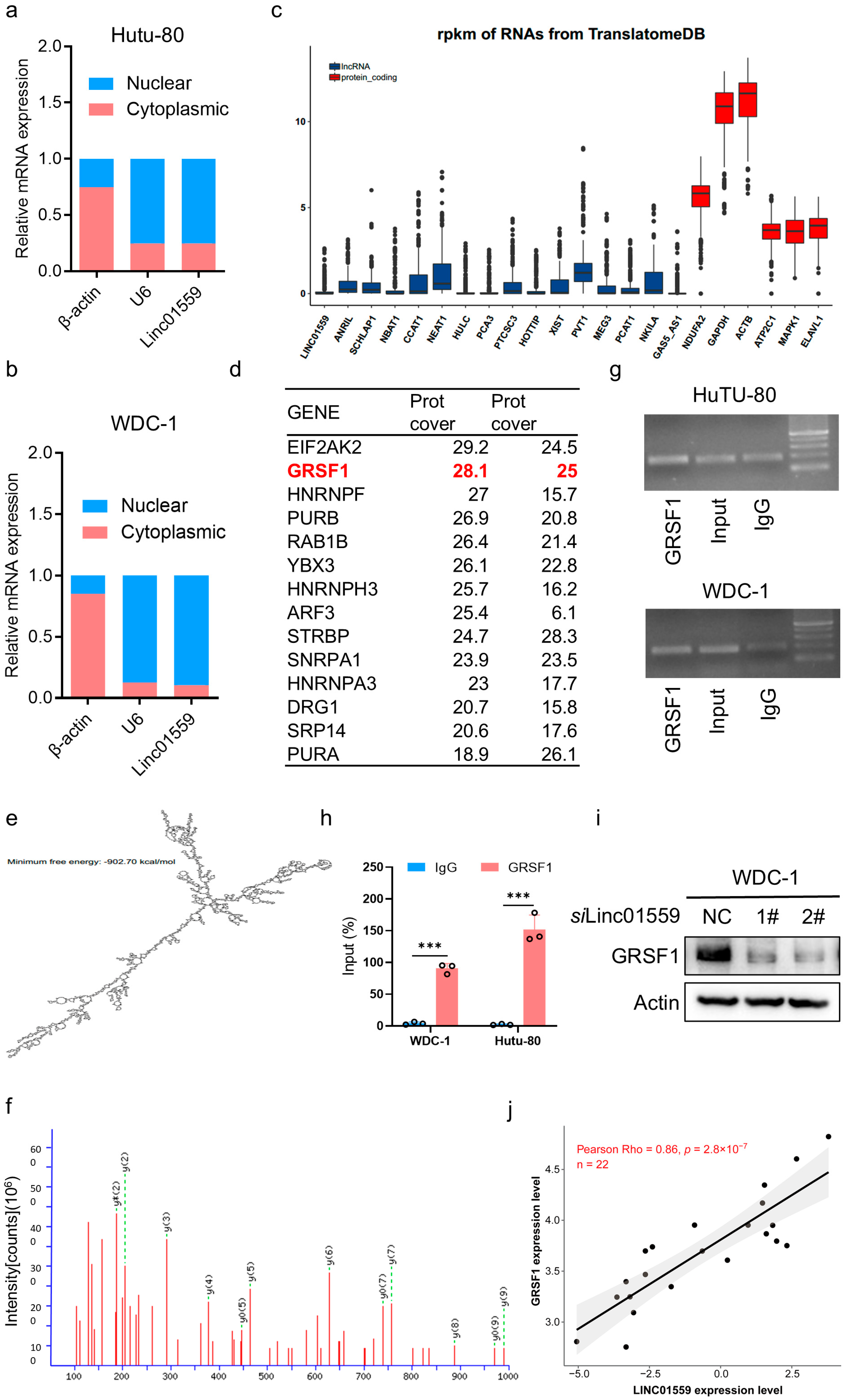 Biomedicines 13 01611 g004