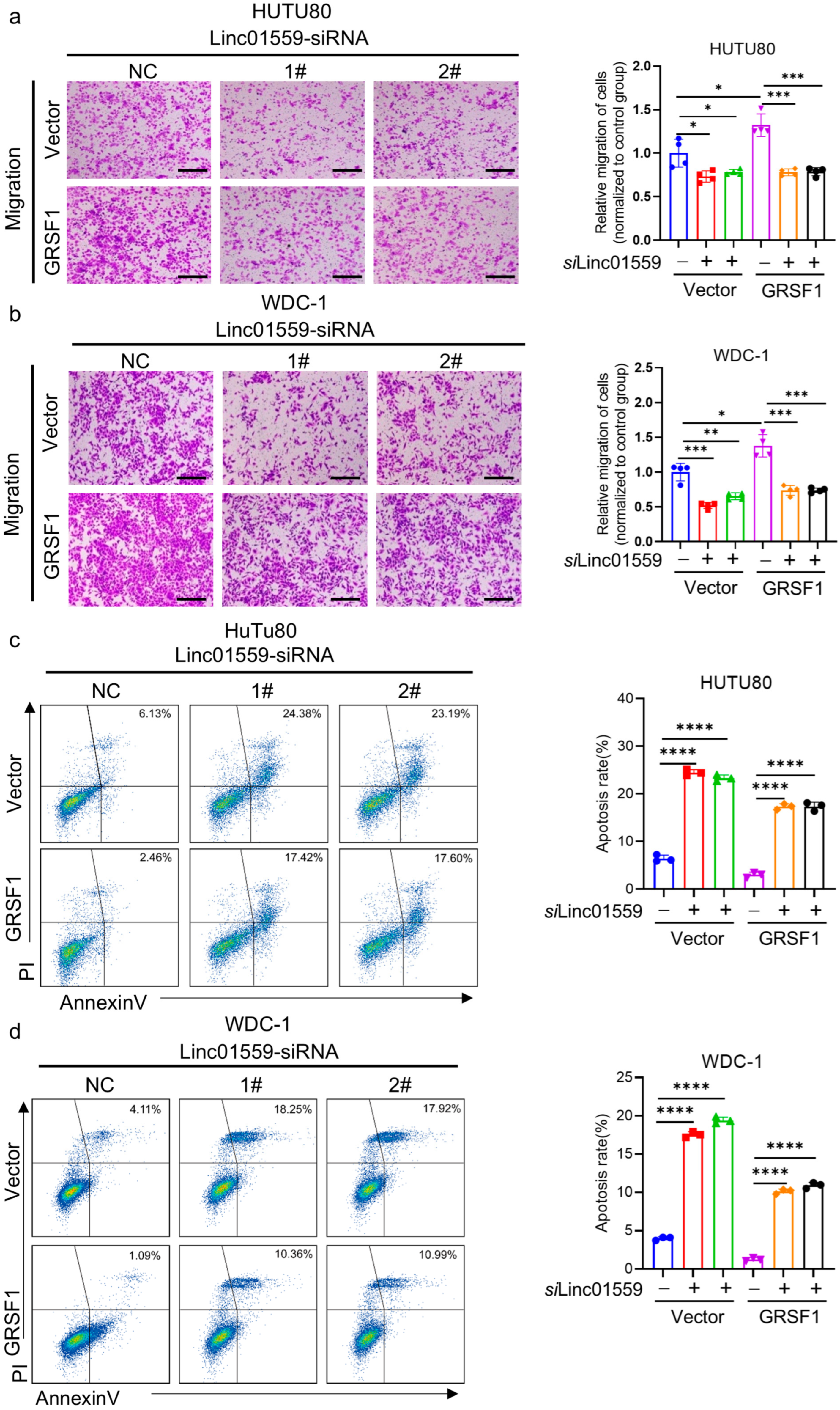 Biomedicines 13 01611 g005