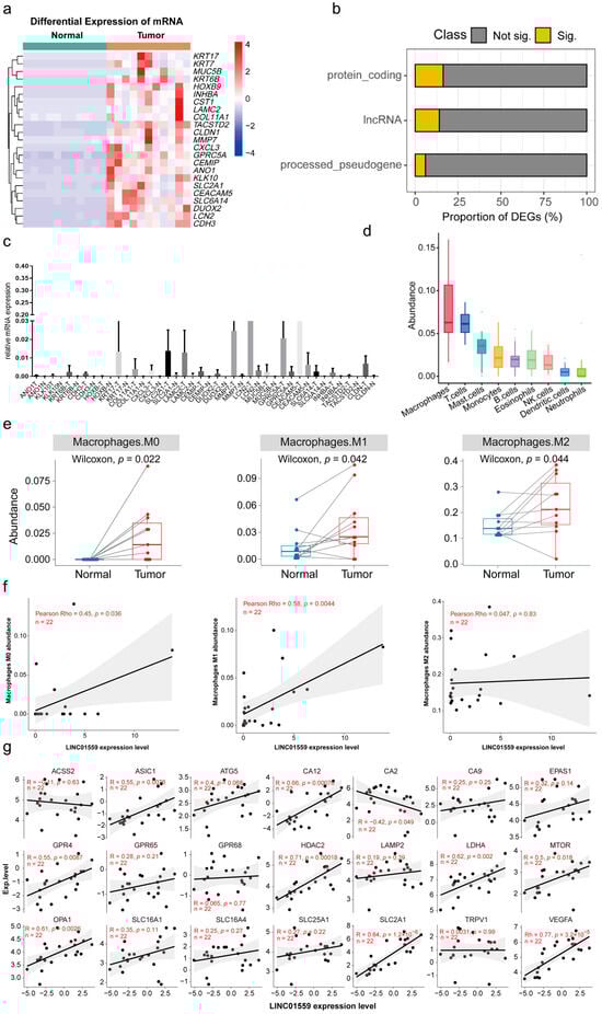 Biomedicines 13 01611 g0a1