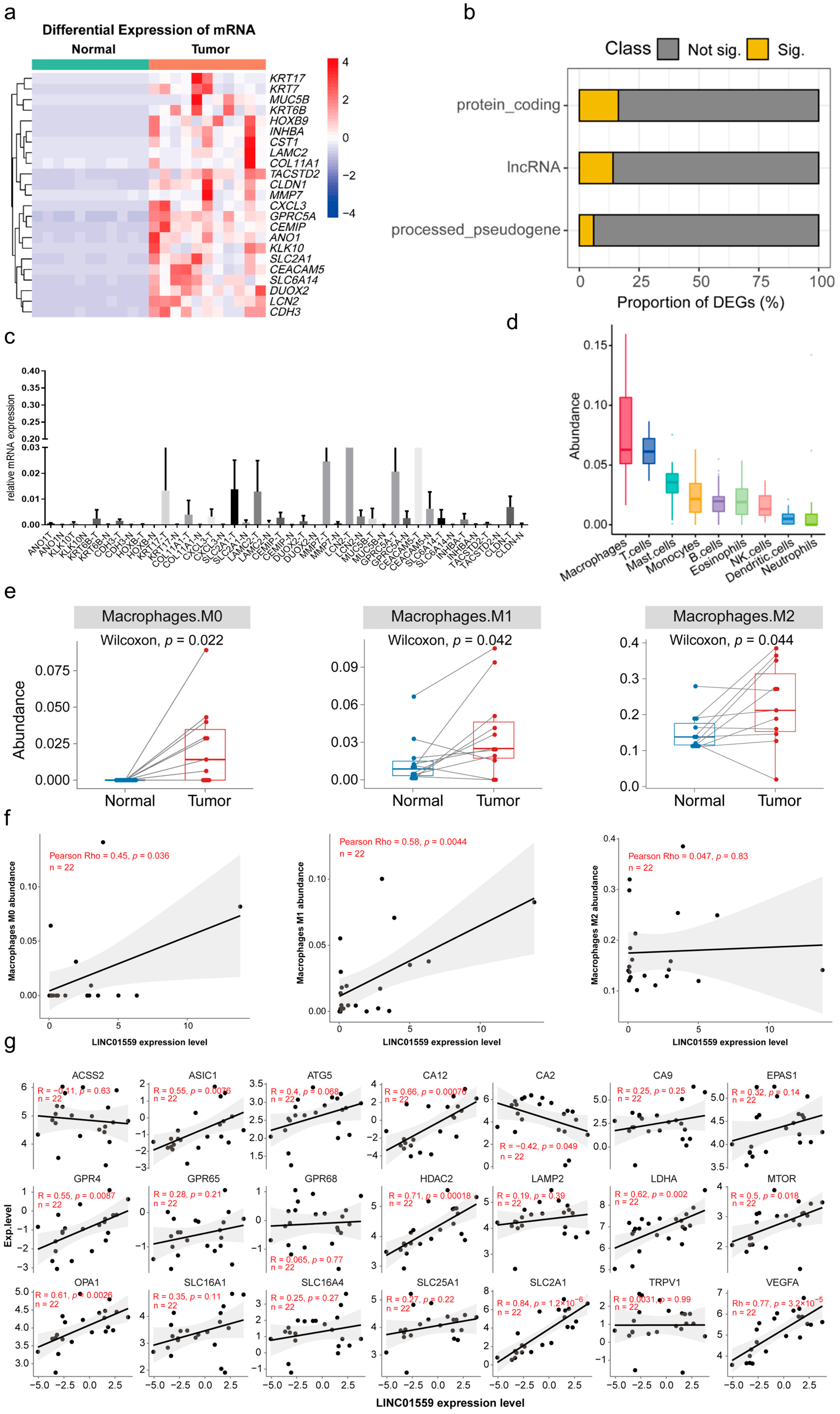 Biomedicines 13 01611 g0a1