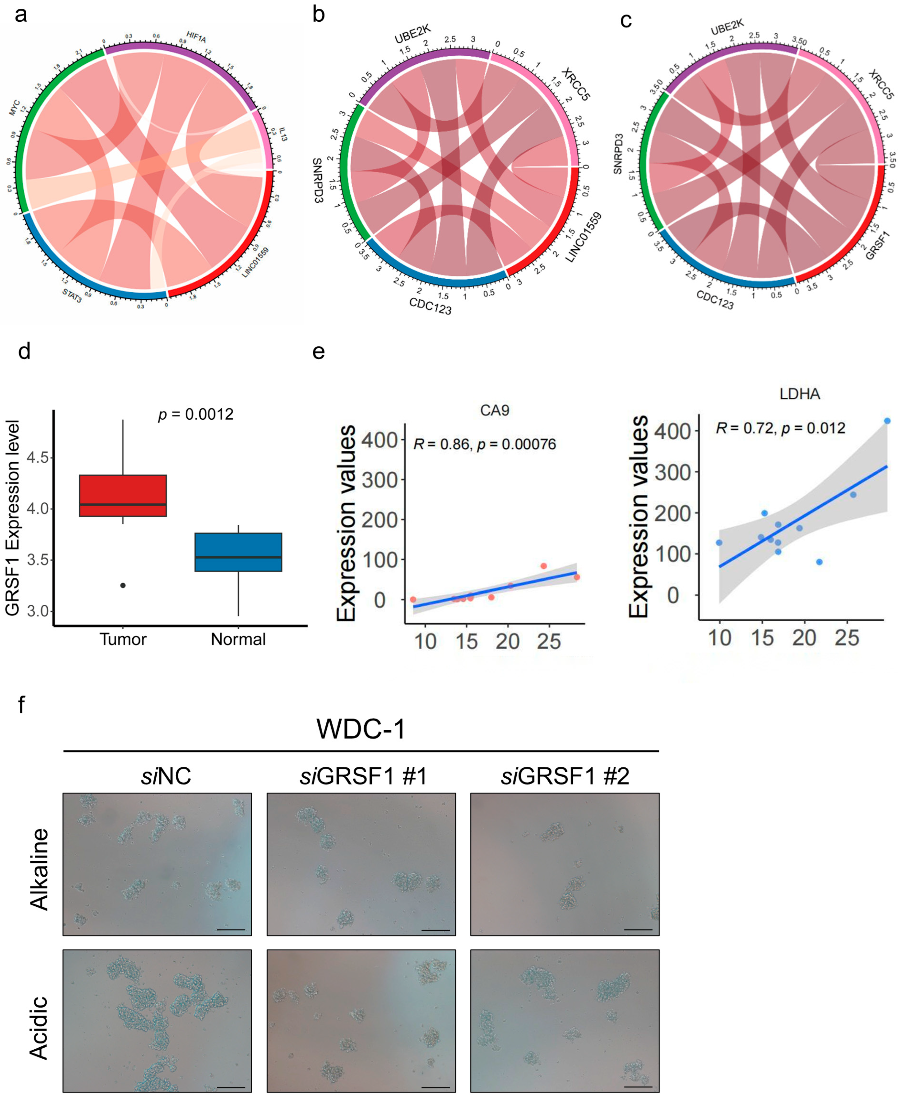 Biomedicines 13 01611 g0a2
