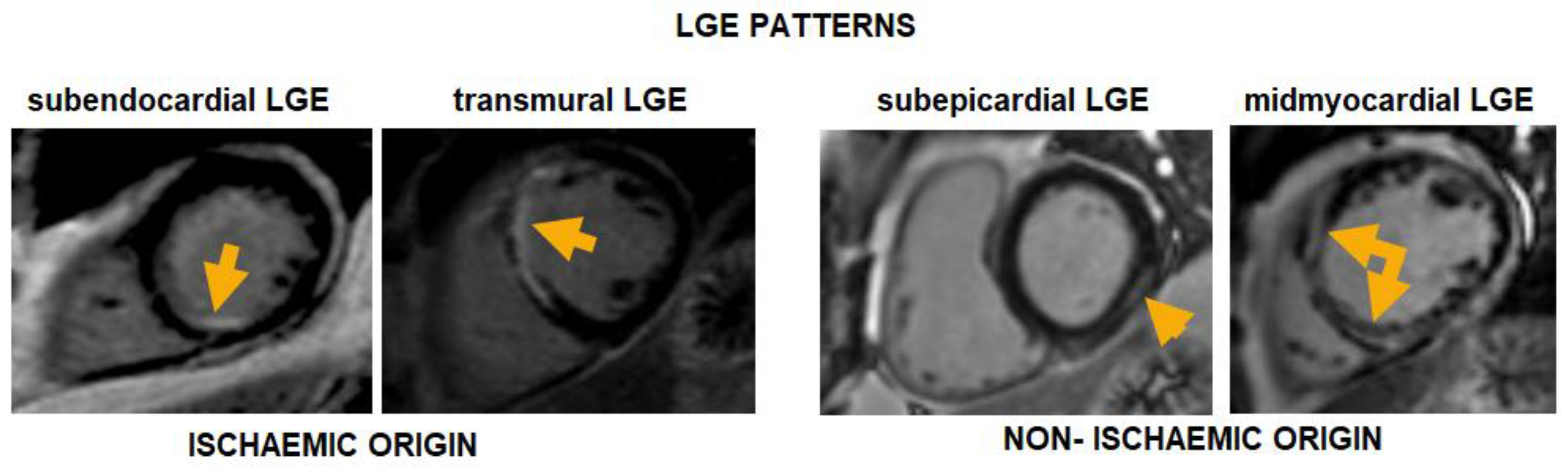 Biomedicines 13 01612 g0a1