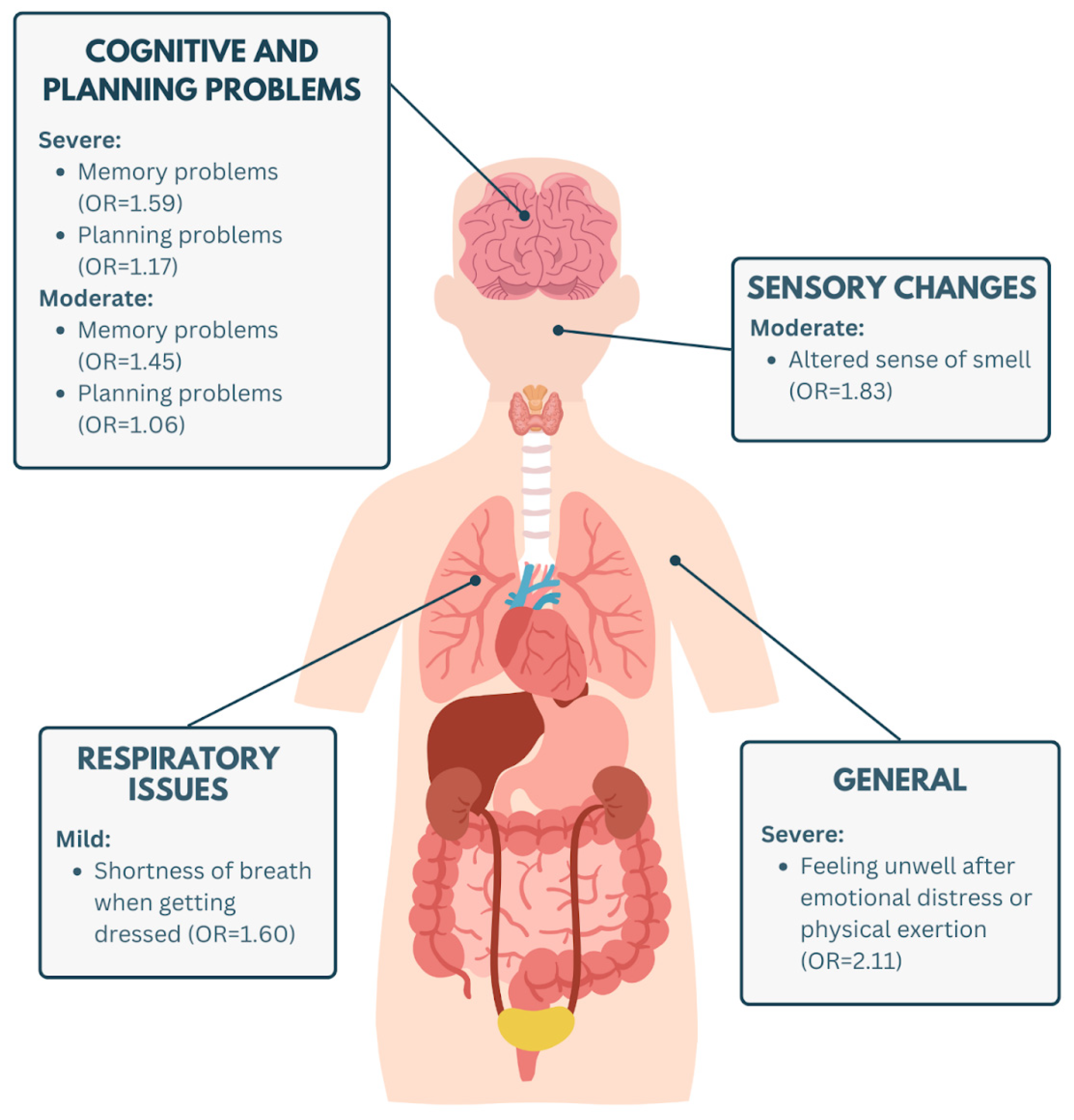 Biomedicines 13 01615 g002 Biomedicines 13 01615 g002