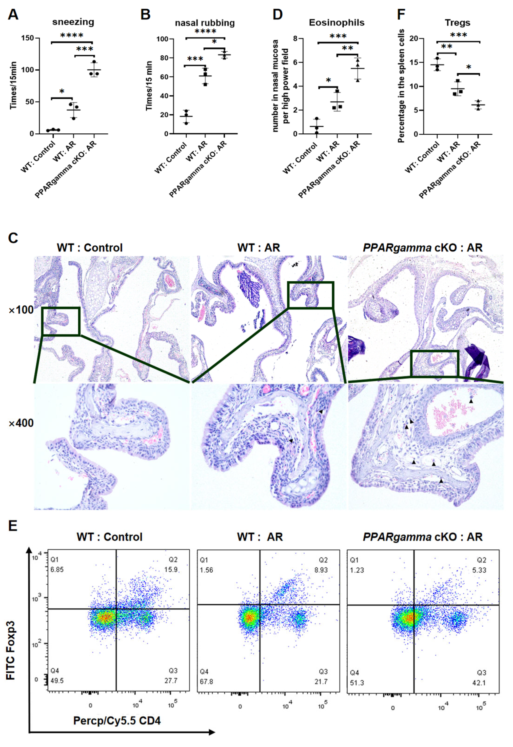 Biomedicines 13 01616 g002