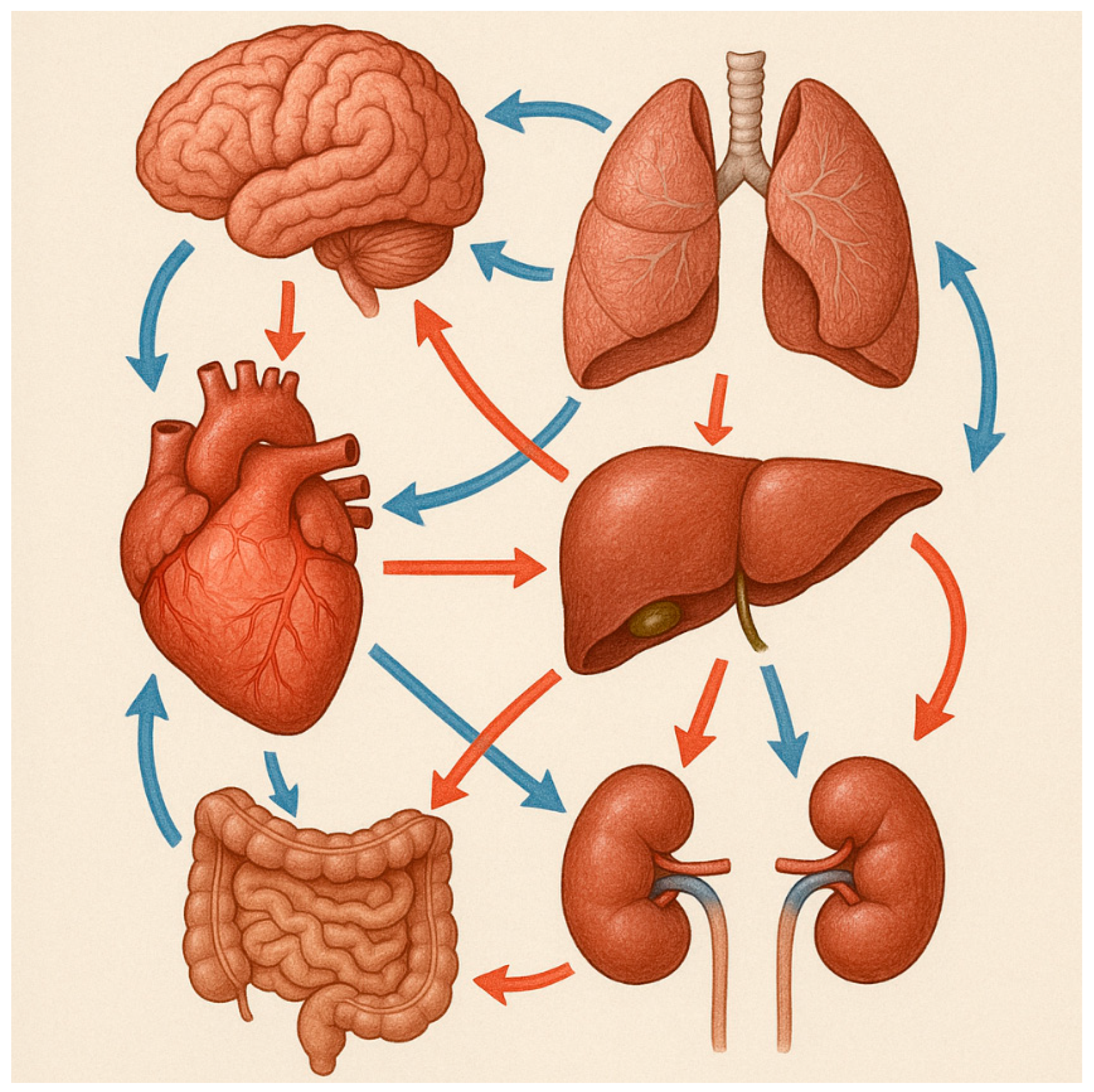 Biomedicines 13 01618 g001