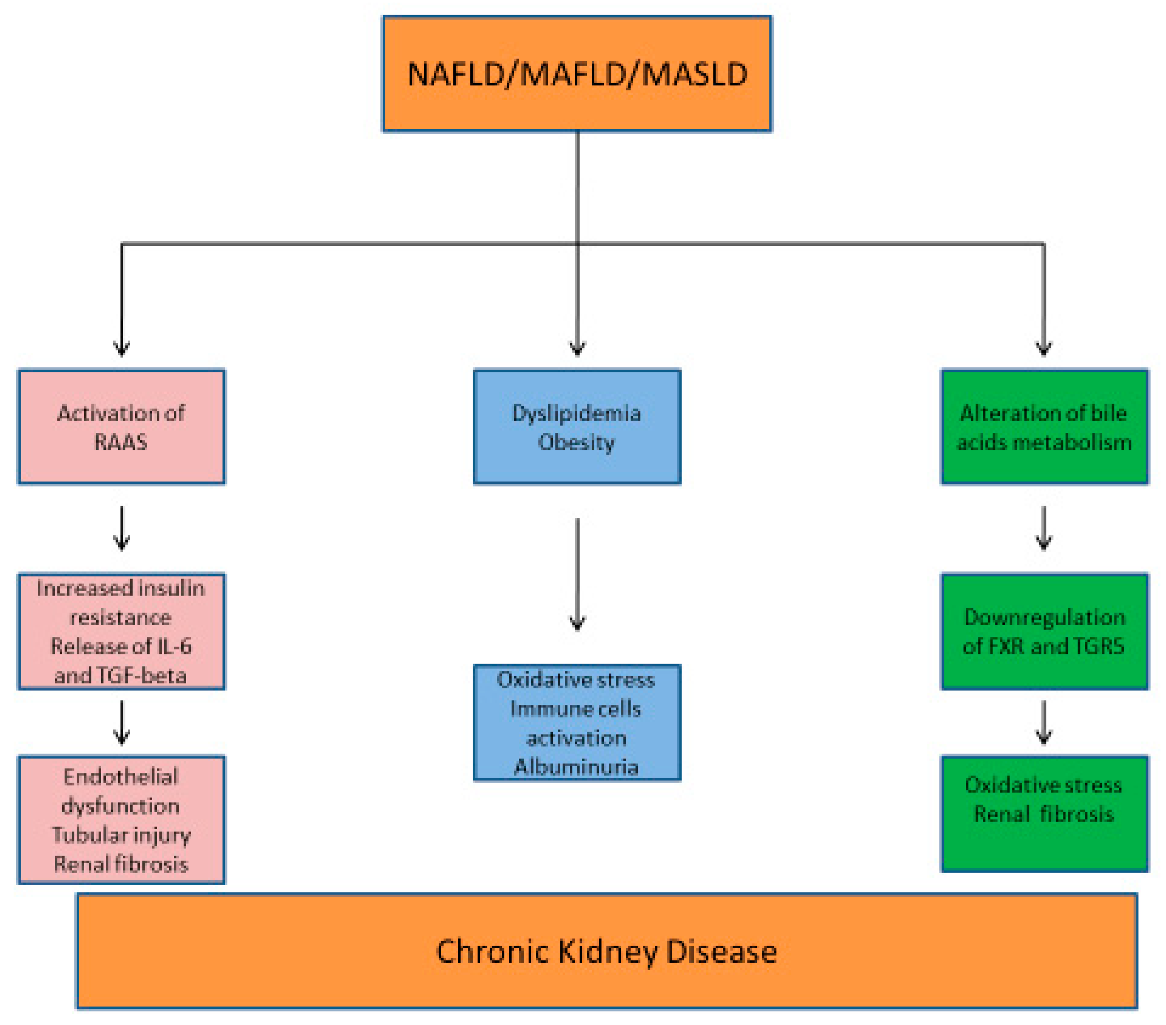 Biomedicines 13 01618 g003