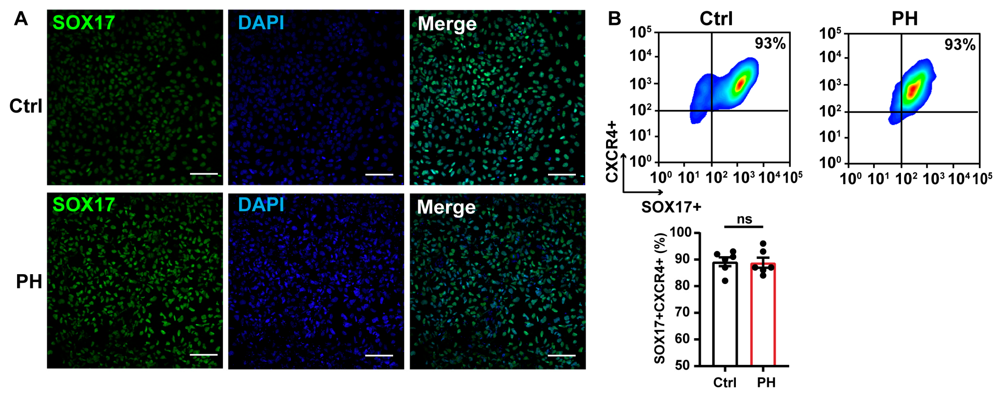 Biomedicines 13 01623 g002