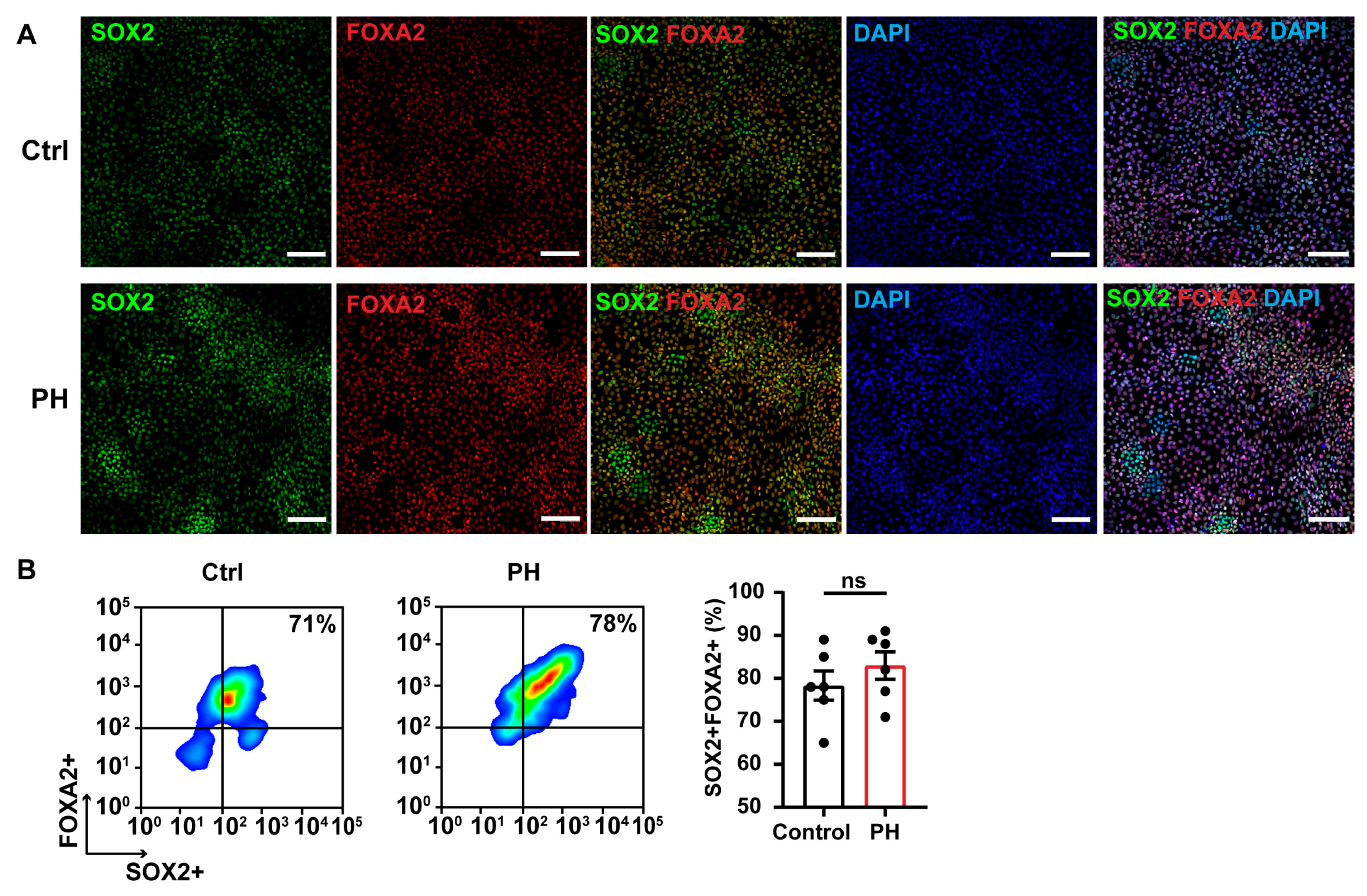 Biomedicines 13 01623 g003