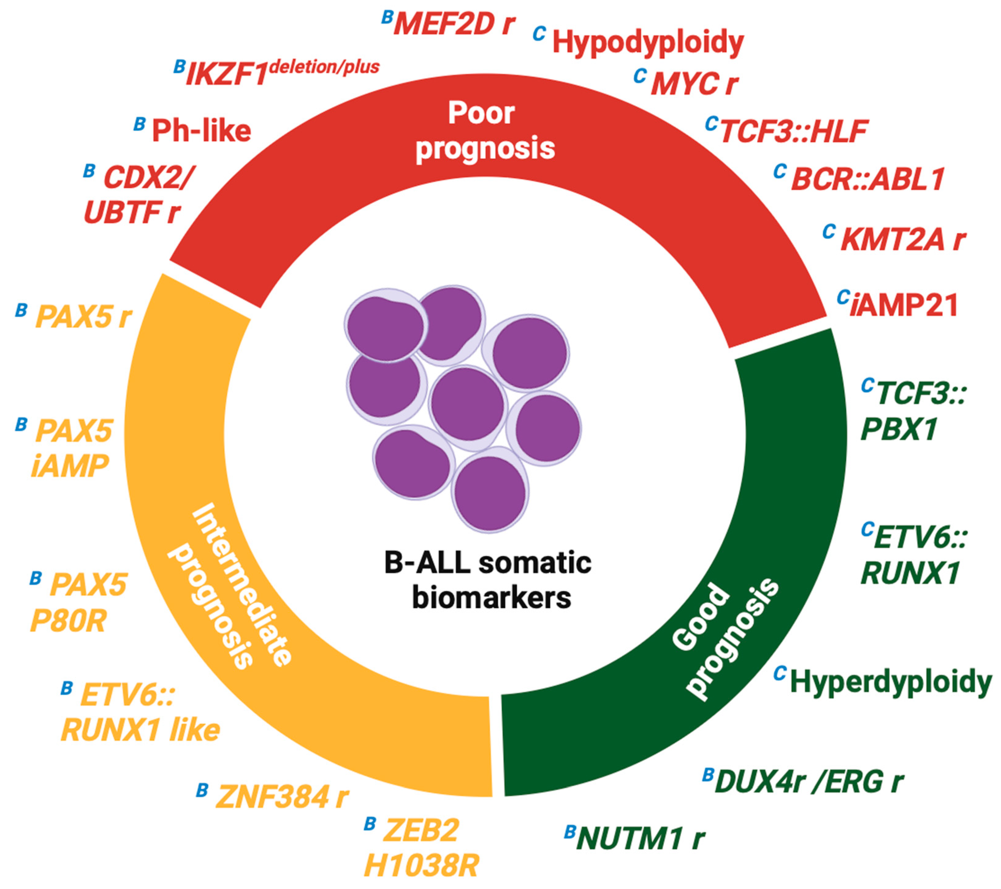 Biomedicines 13 01626 g003