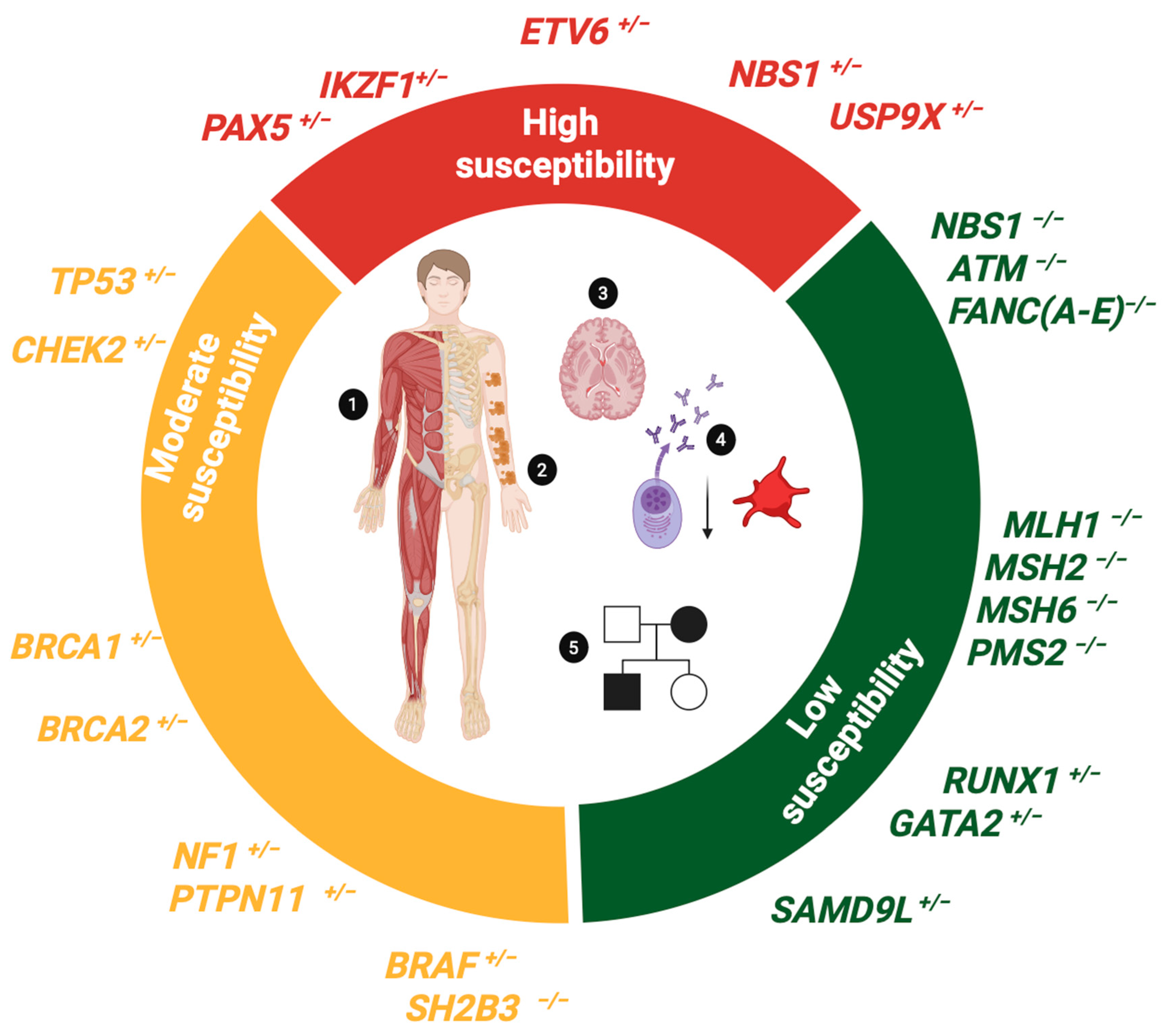 Biomedicines 13 01626 g004