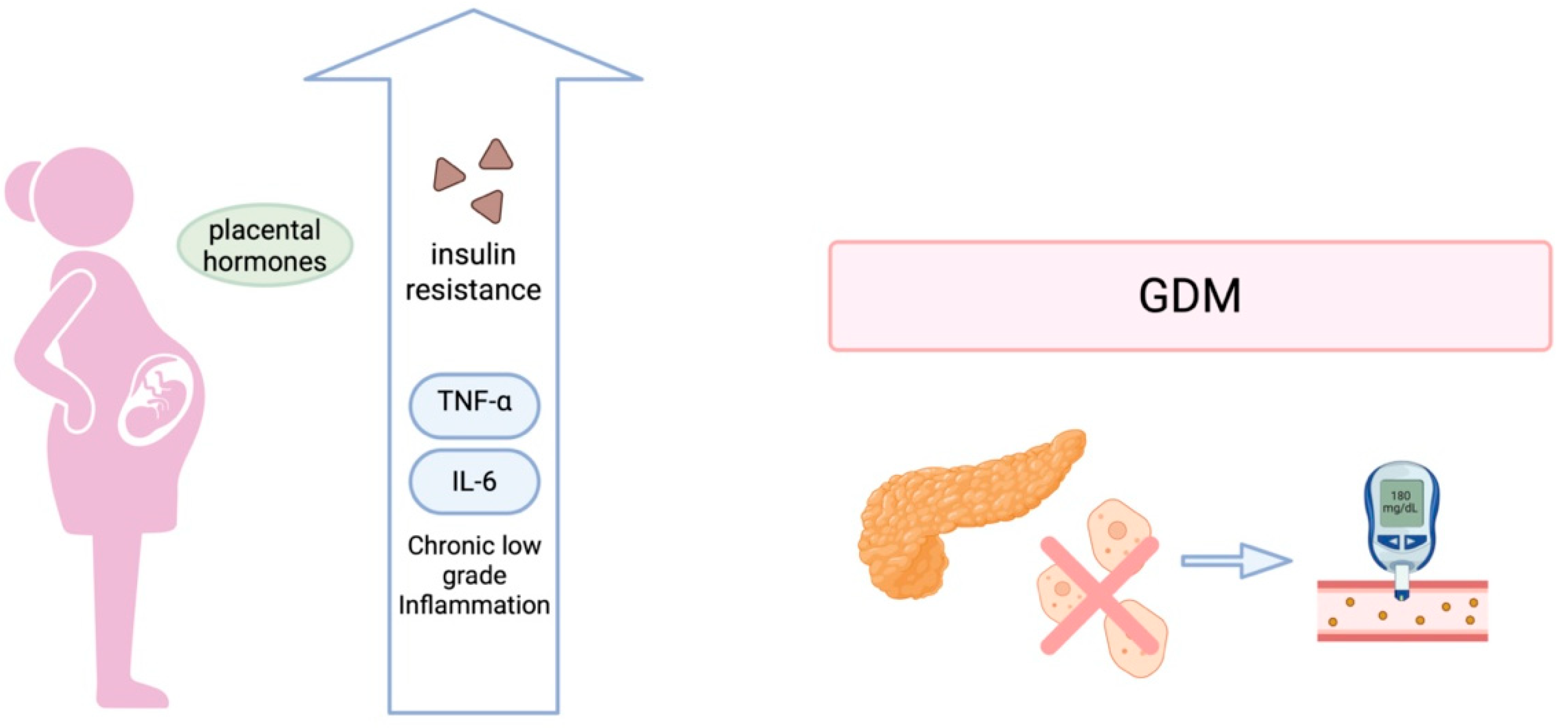 Biomedicines 13 01627 g001