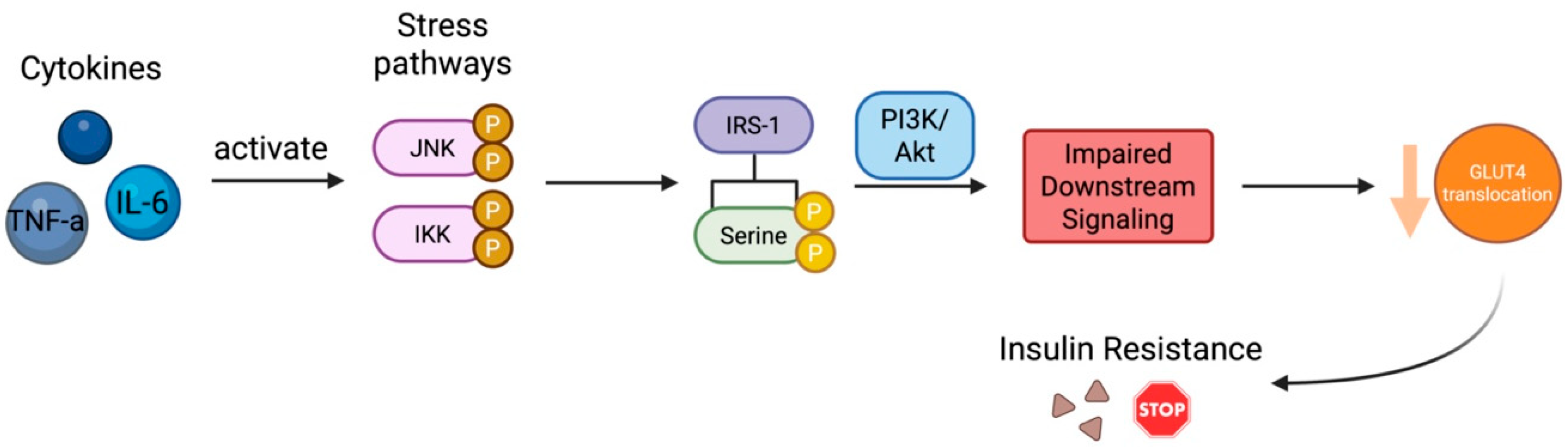 Biomedicines 13 01627 g002