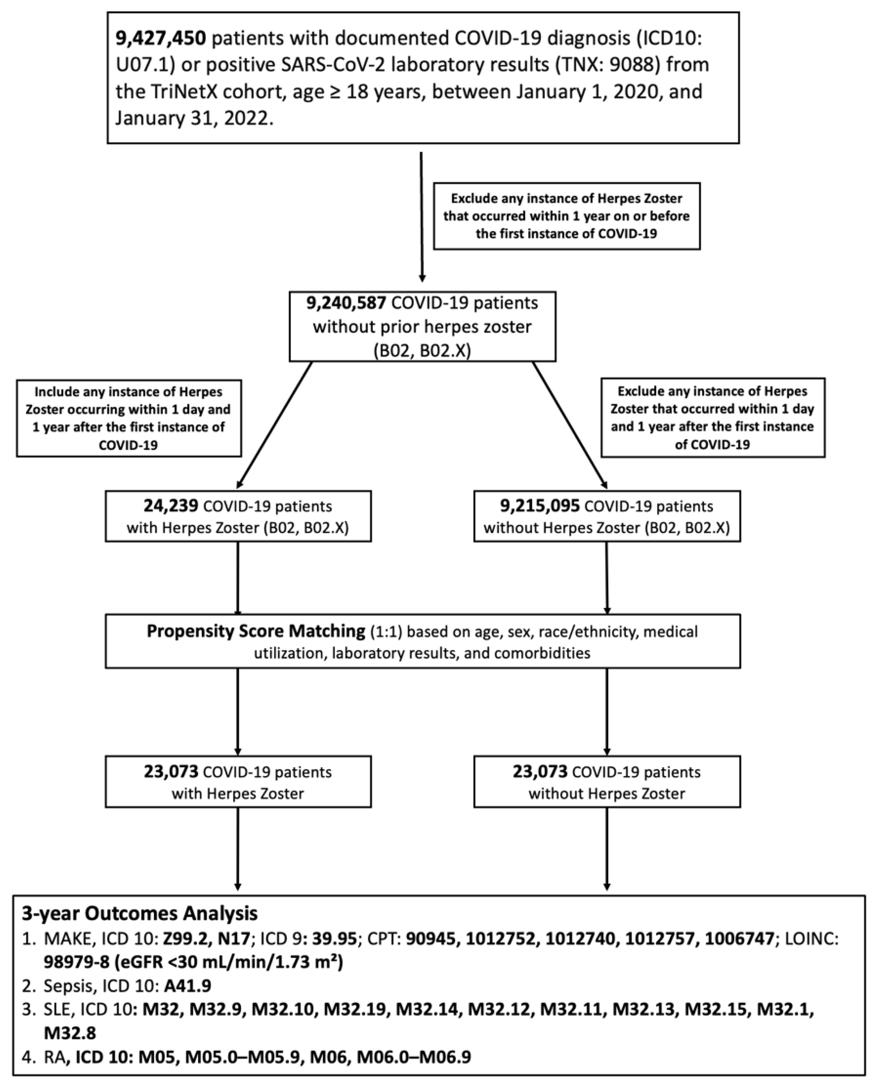 Biomedicines 13 01628 g001