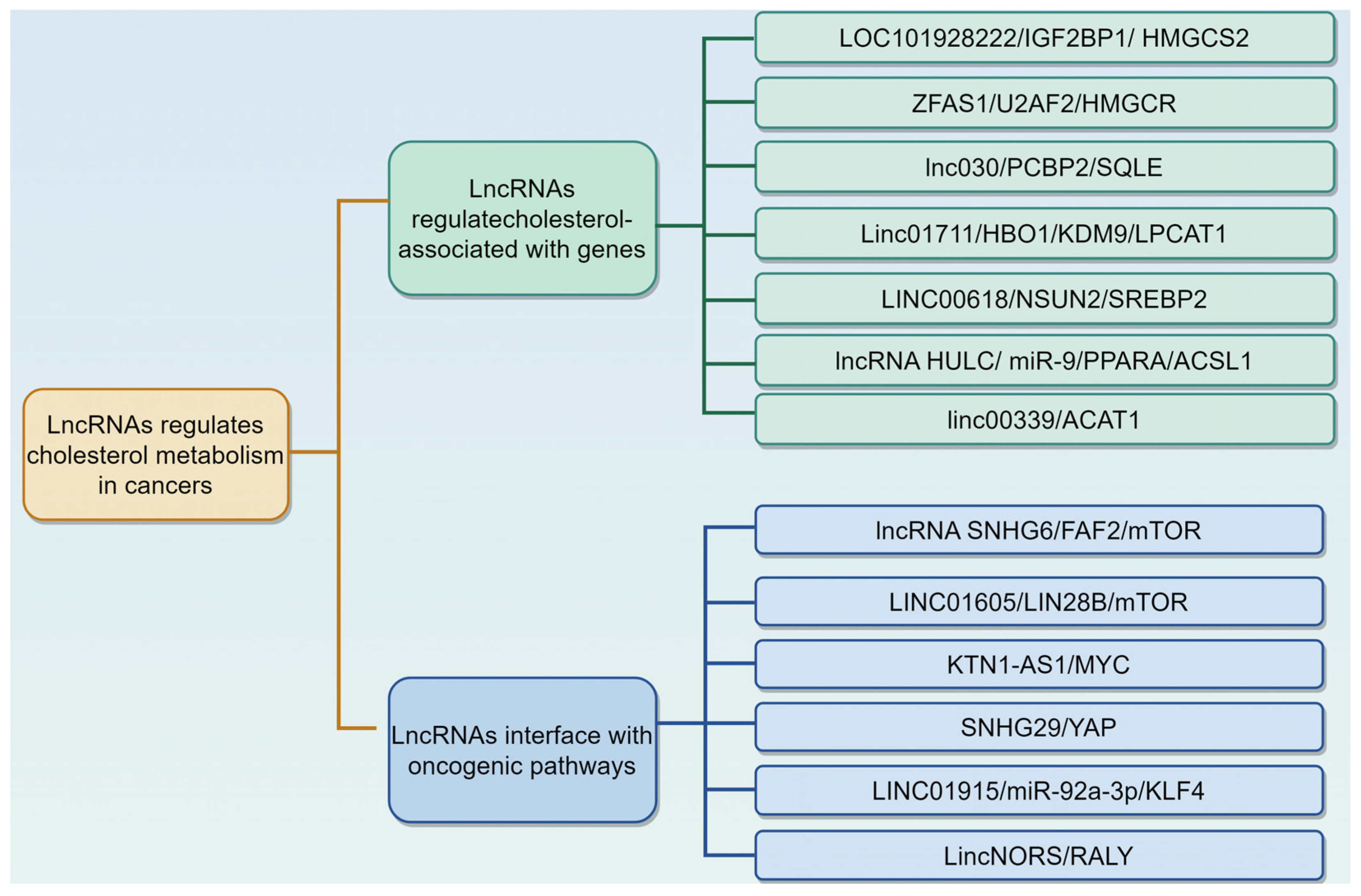 Biomedicines 13 01631 g003