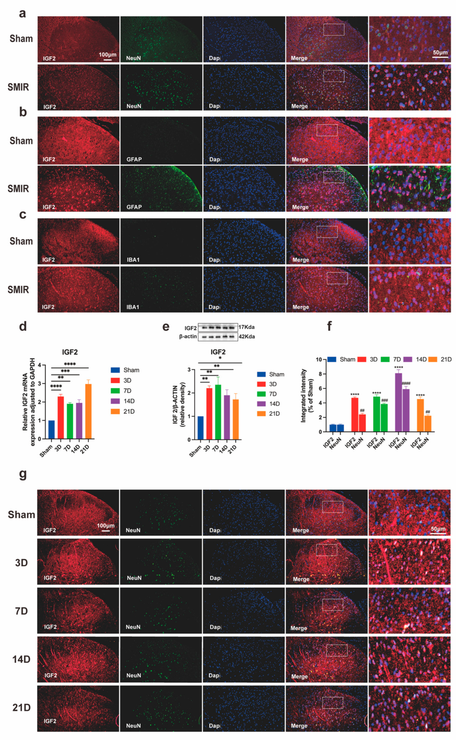 Biomedicines 13 01632 g007