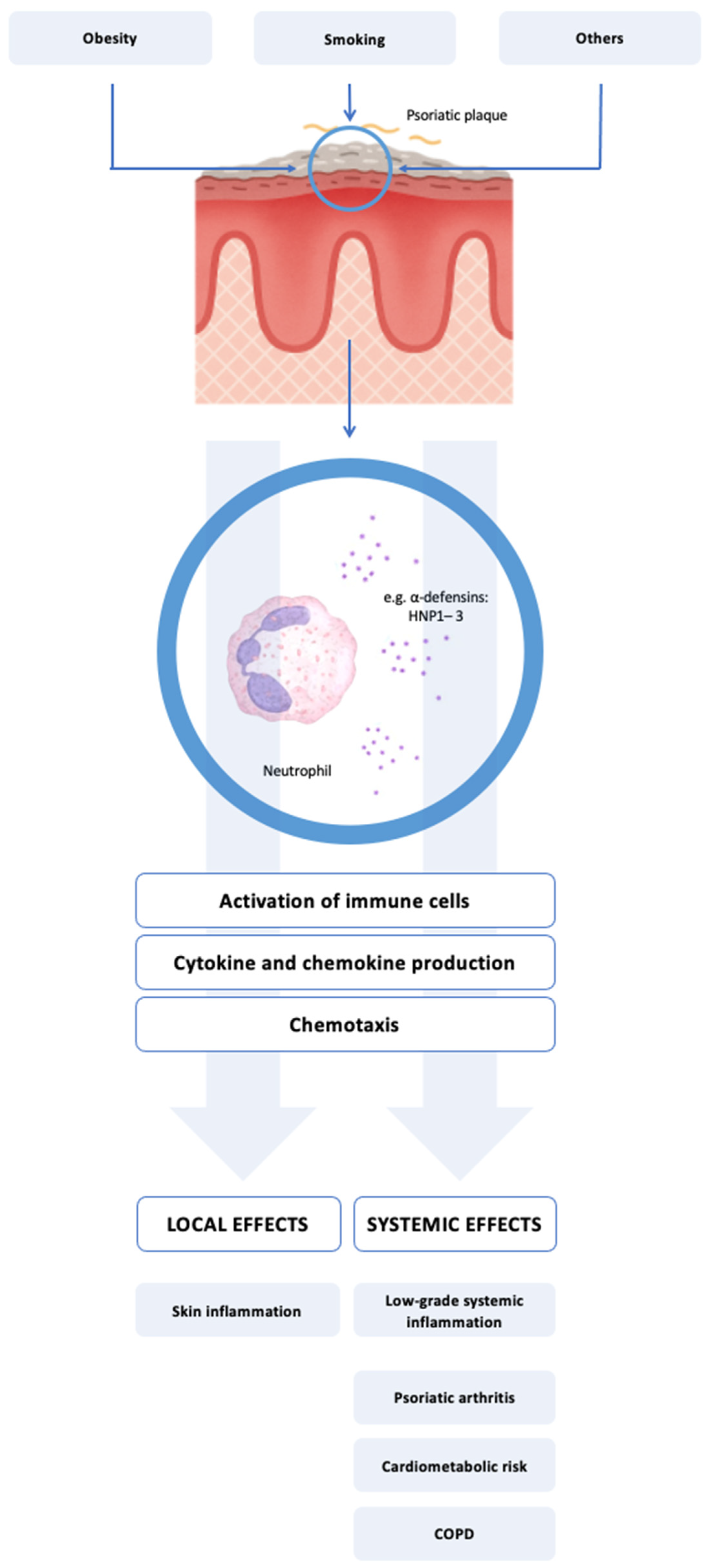 Biomedicines 13 01635 g001 Biomedicines 13 01635 g001