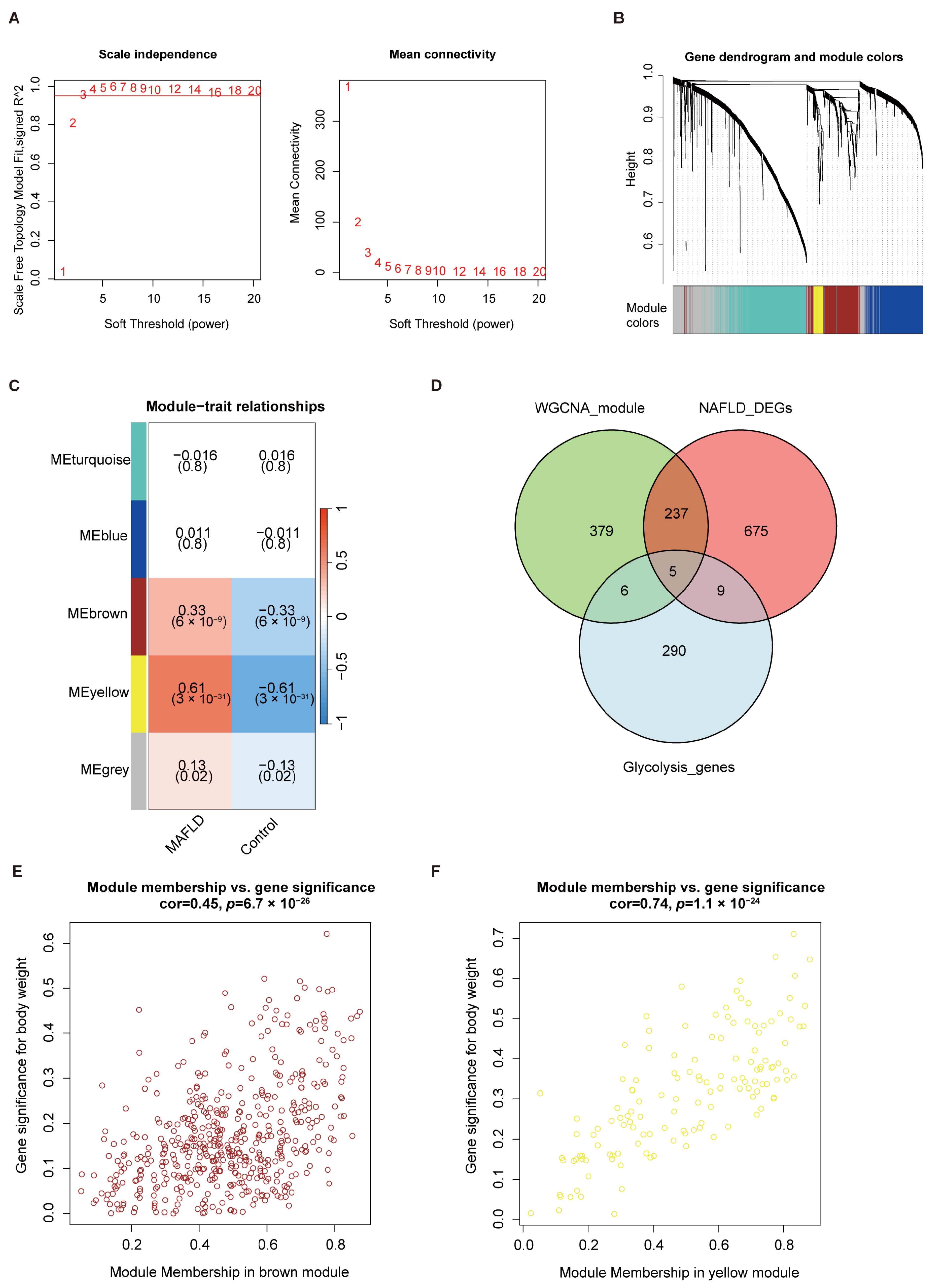 Biomedicines 13 01636 g003
