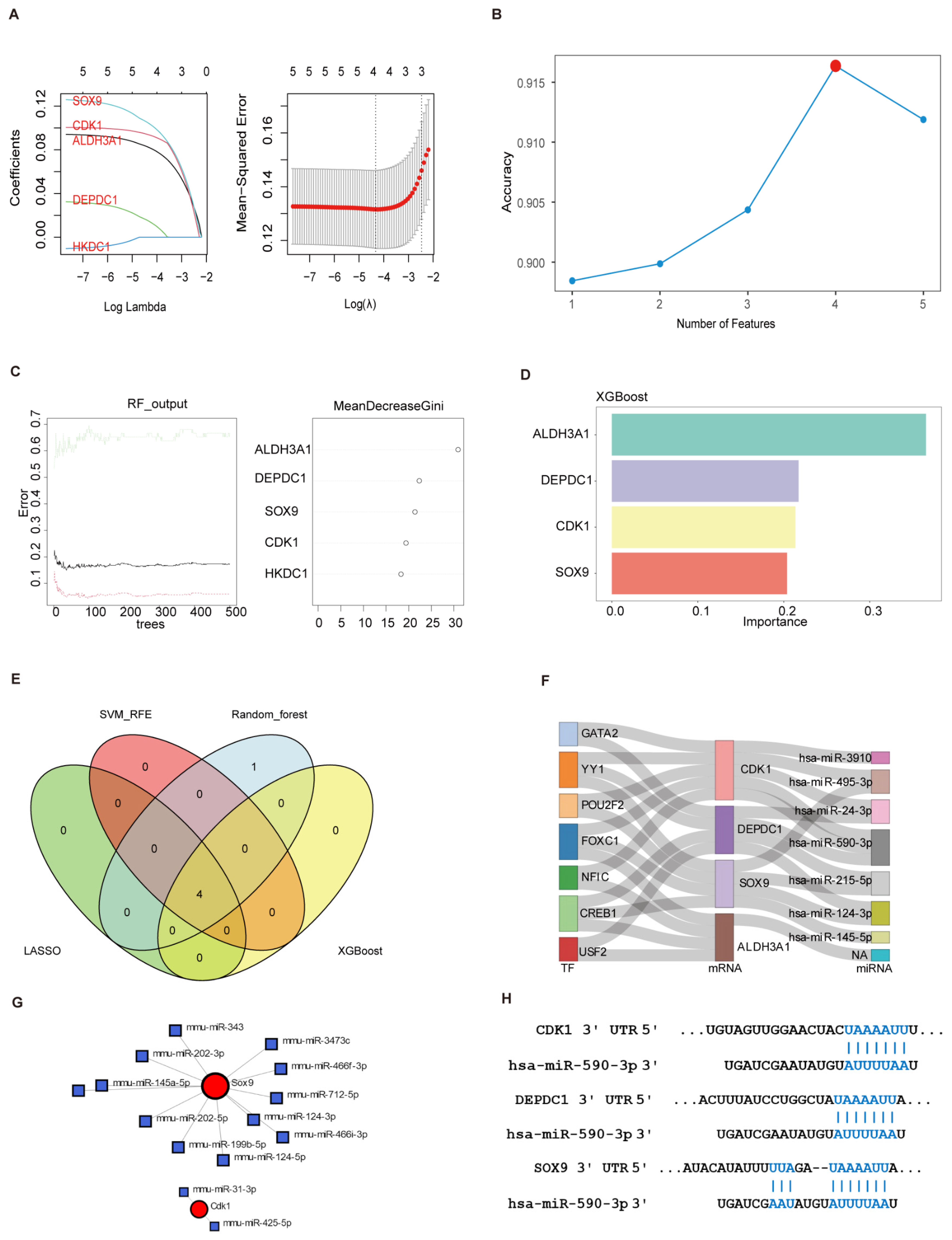 Biomedicines 13 01636 g007