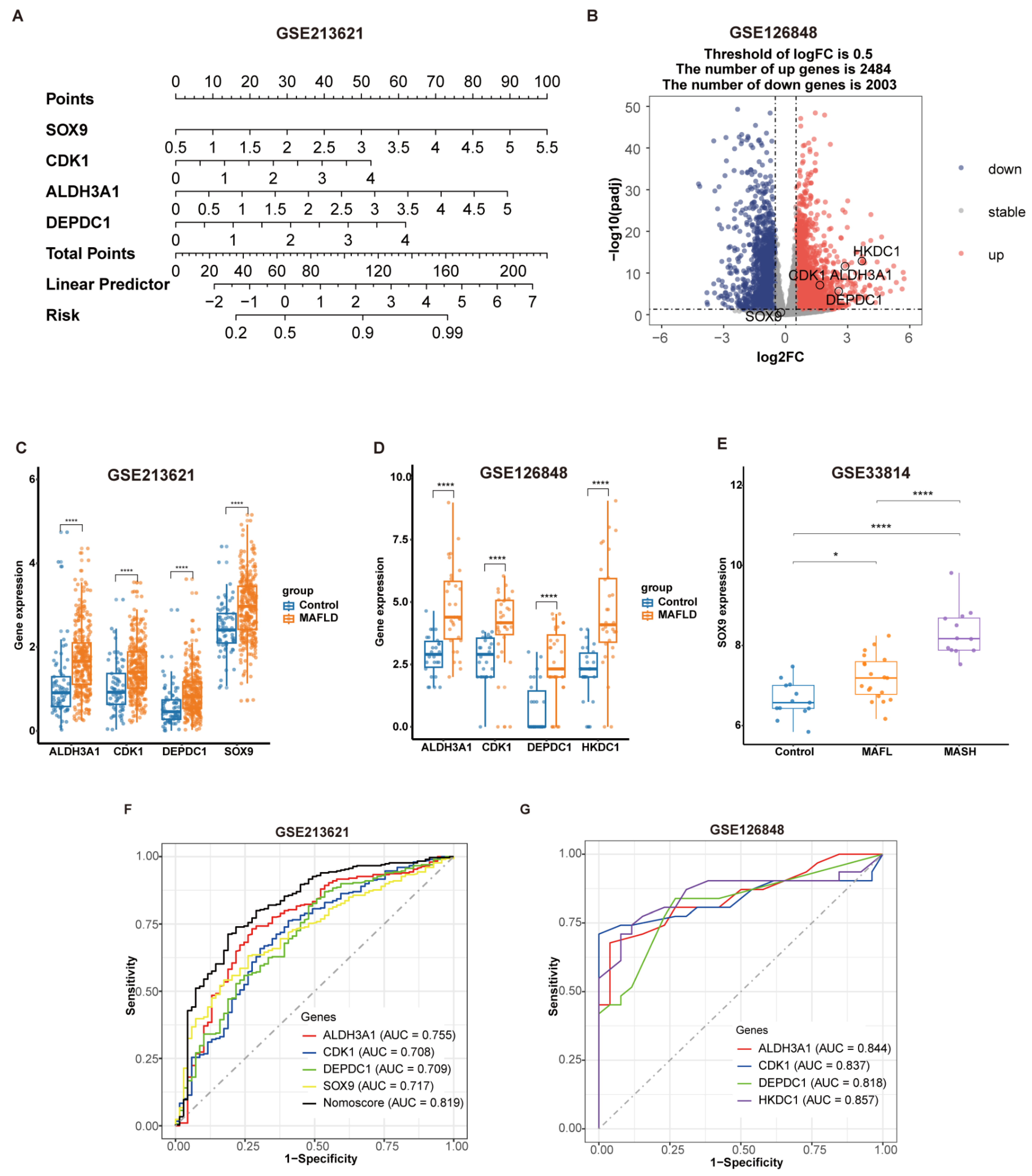 Biomedicines 13 01636 g008