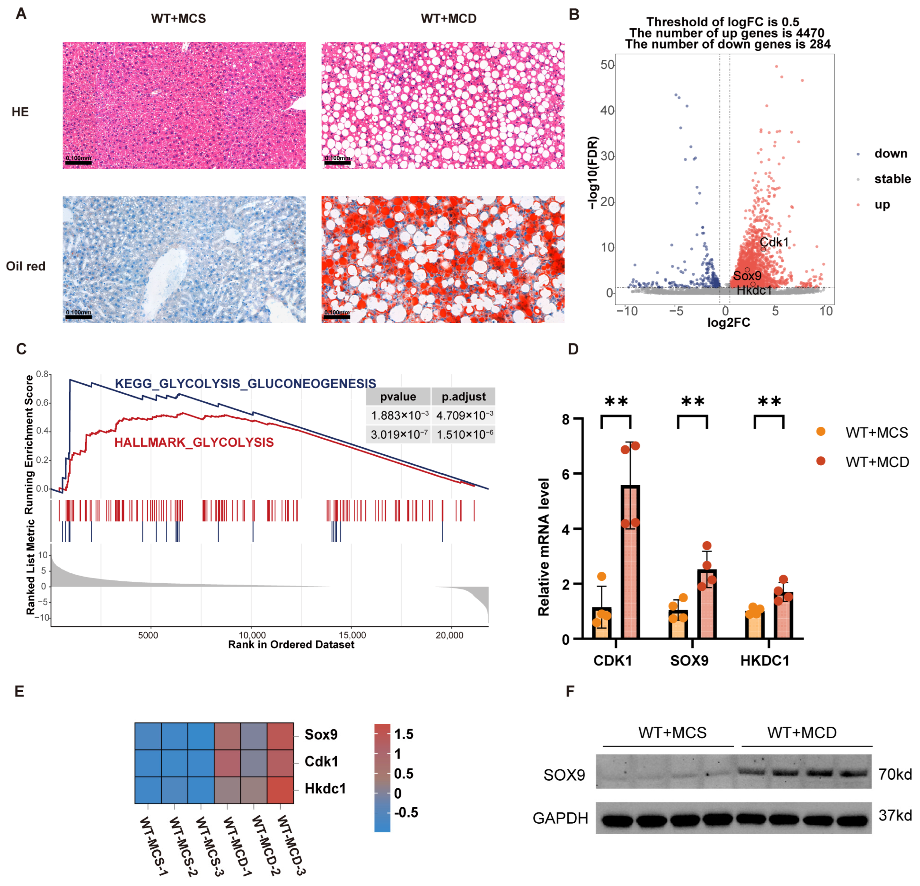 Biomedicines 13 01636 g009