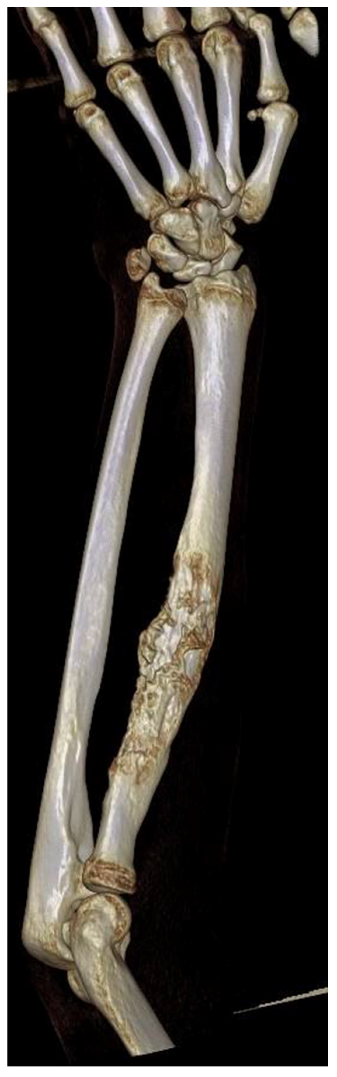 Biomedicines 13 01638 g001