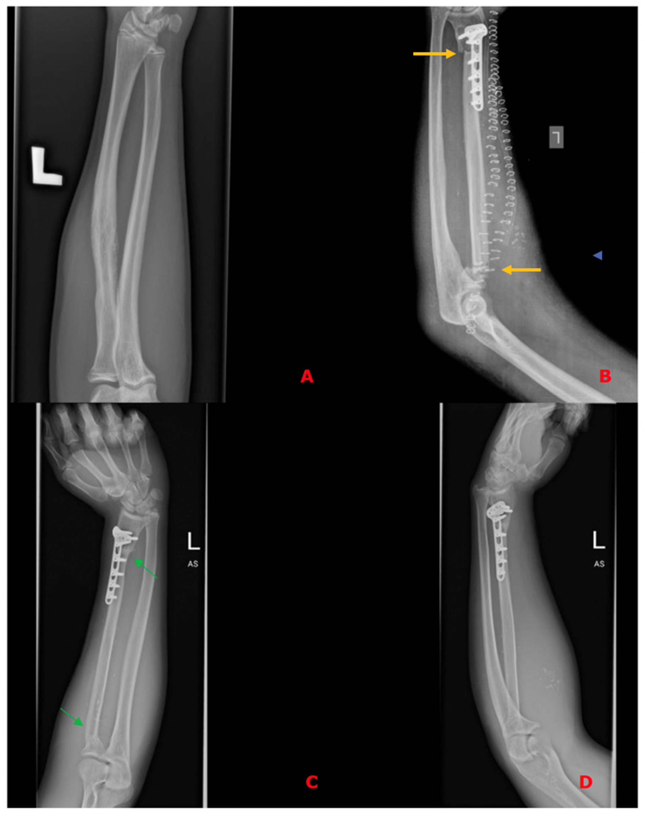 Biomedicines 13 01638 g003