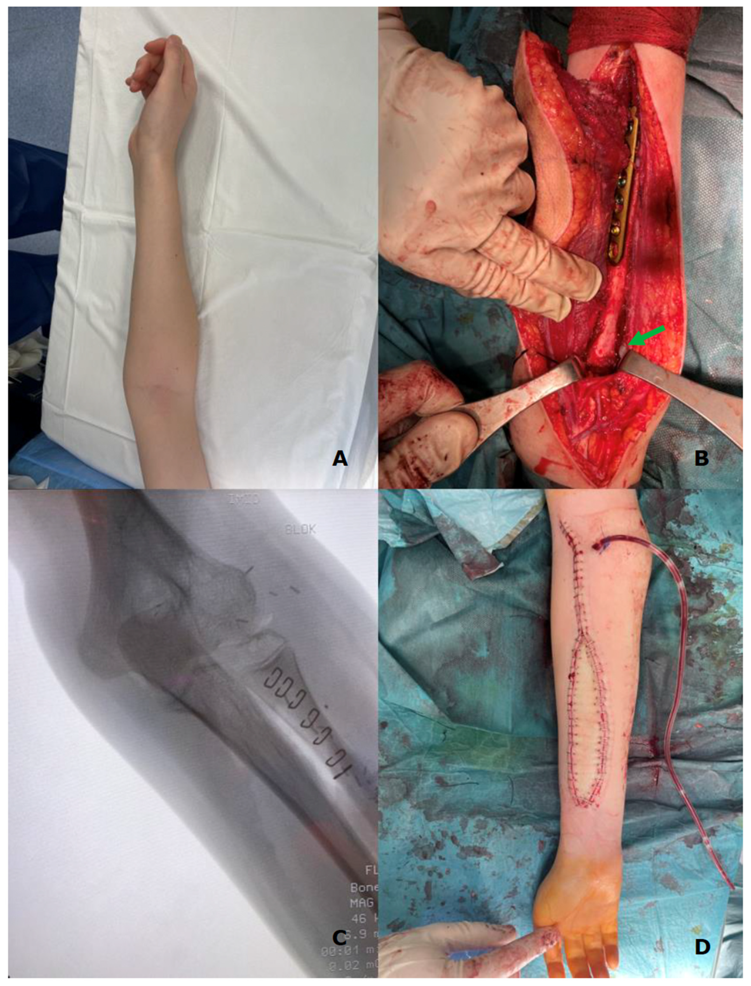 Biomedicines 13 01638 g004