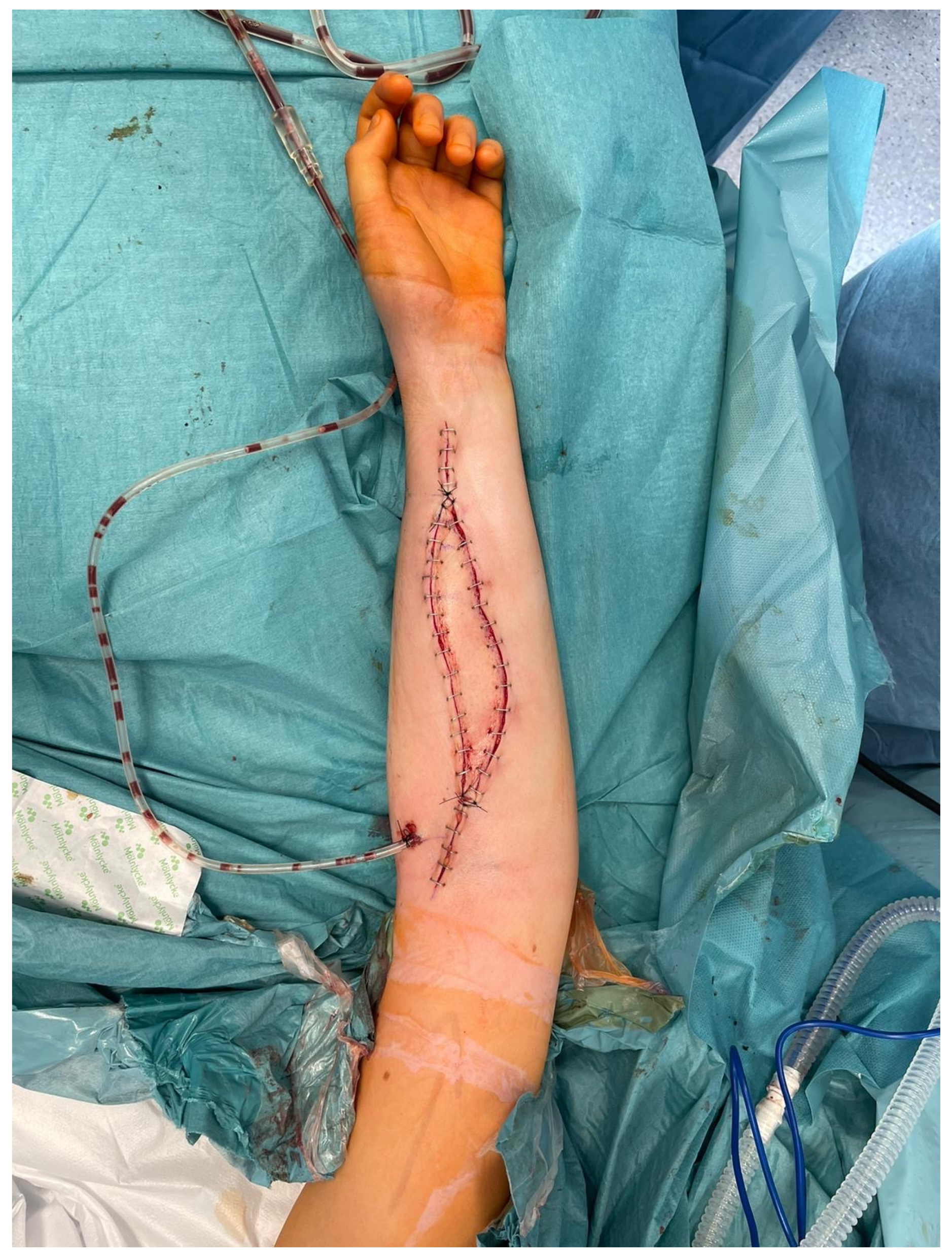 Biomedicines 13 01638 g008