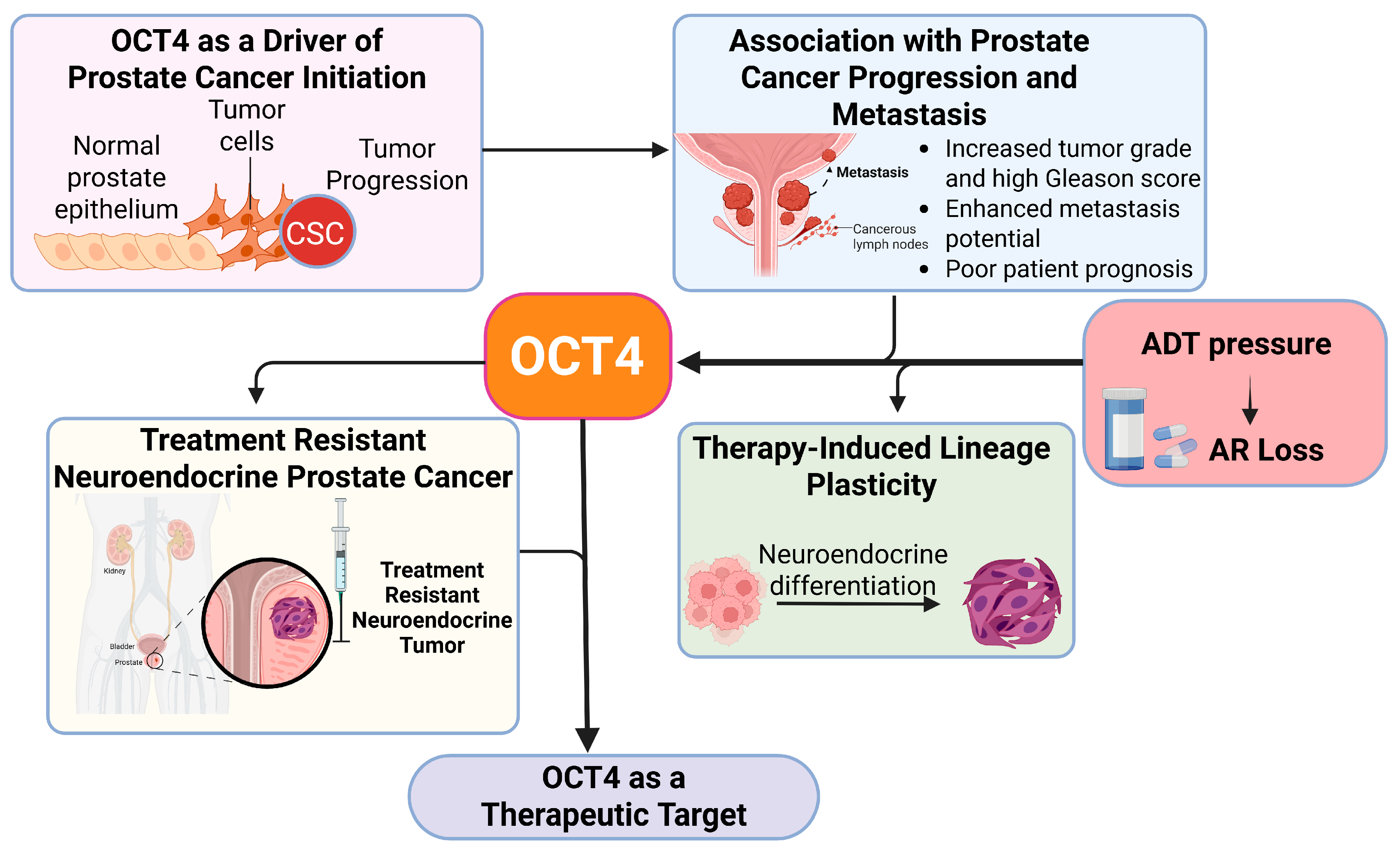 Biomedicines 13 01642 g003