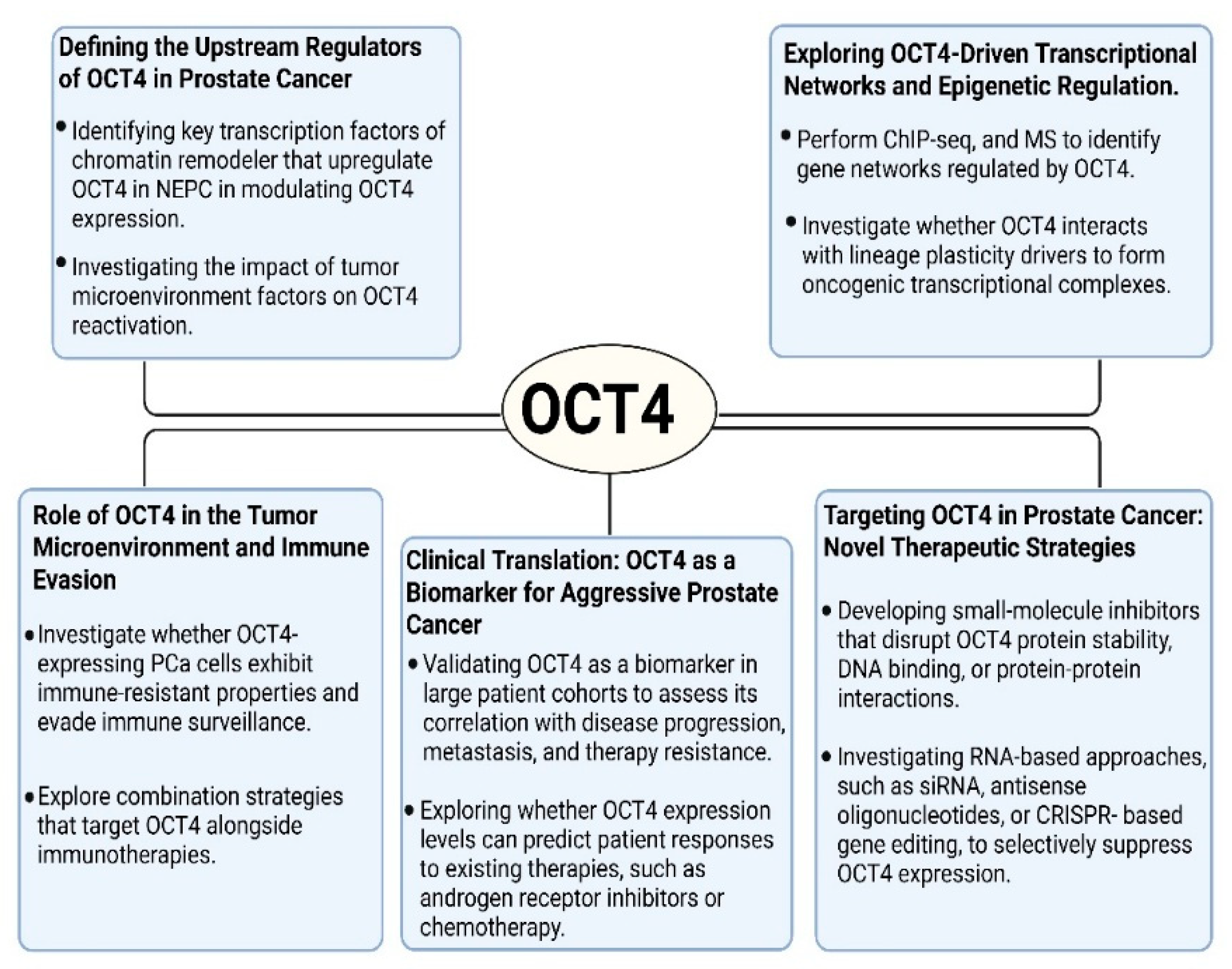 Biomedicines 13 01642 g004