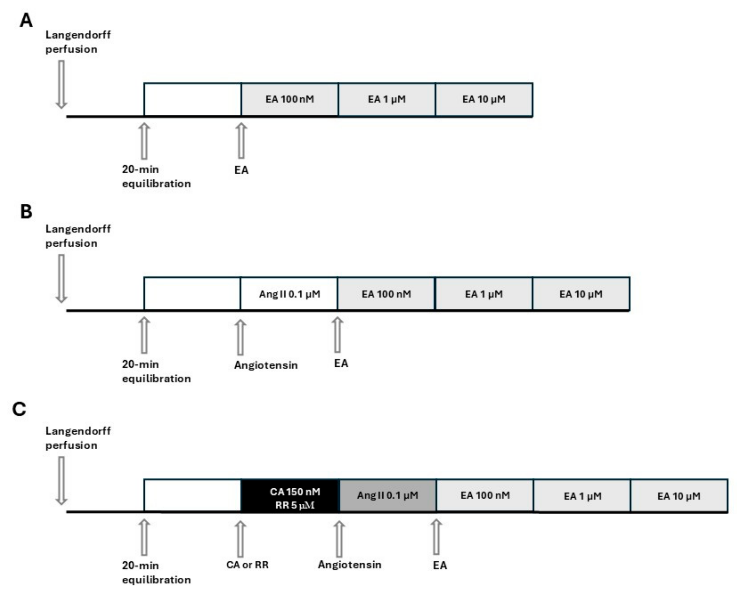 Biomedicines 13 01645 g001