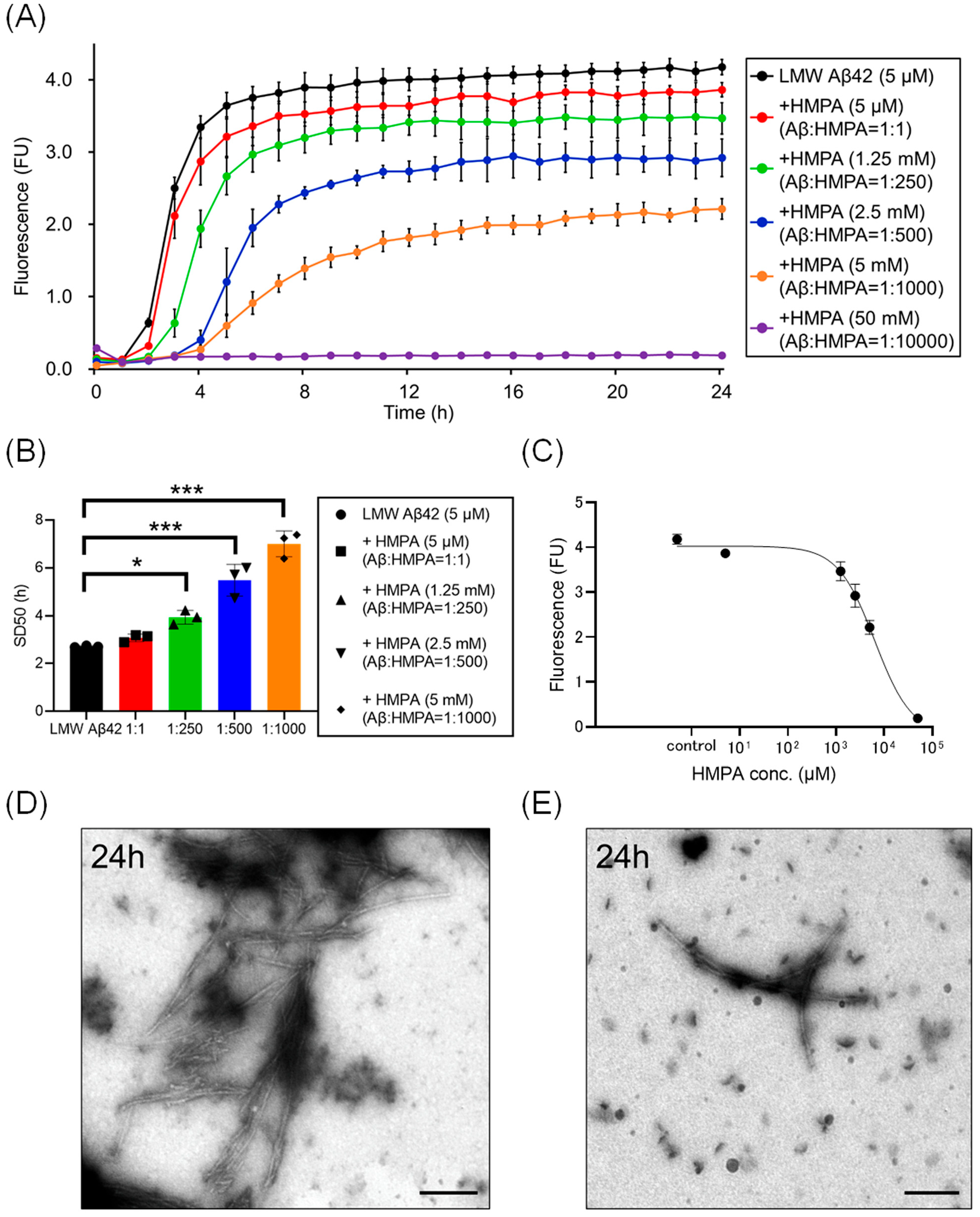 Biomedicines 13 01649 g002