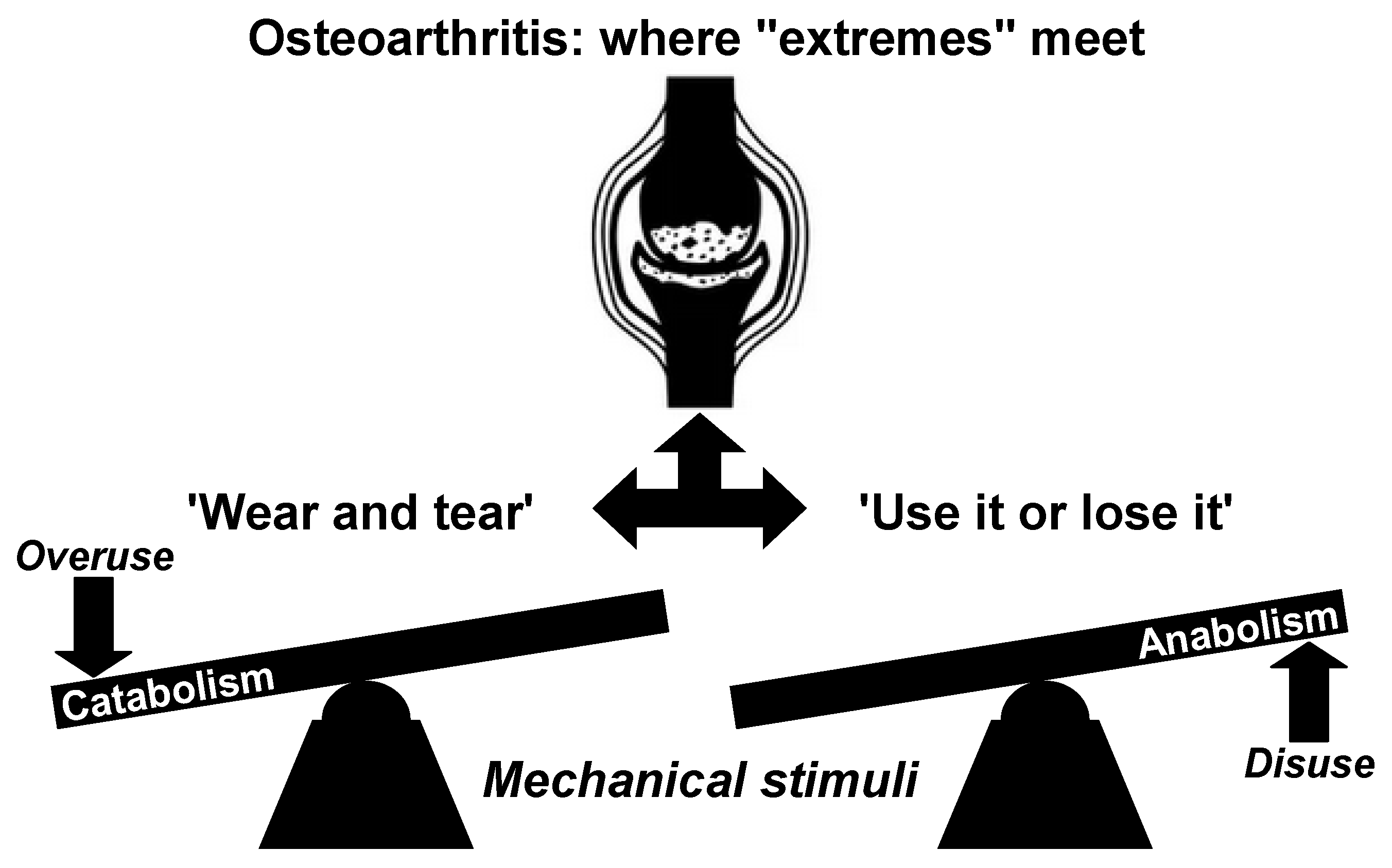 Biomedicines 13 01650 g001