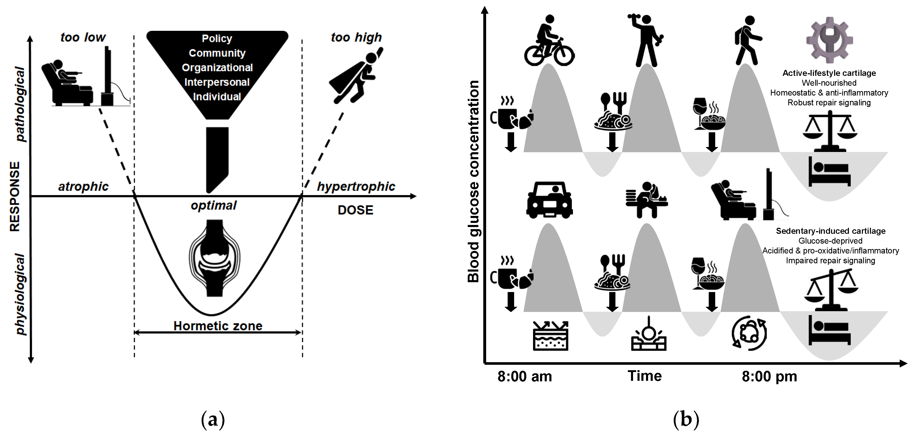 Biomedicines 13 01650 g007