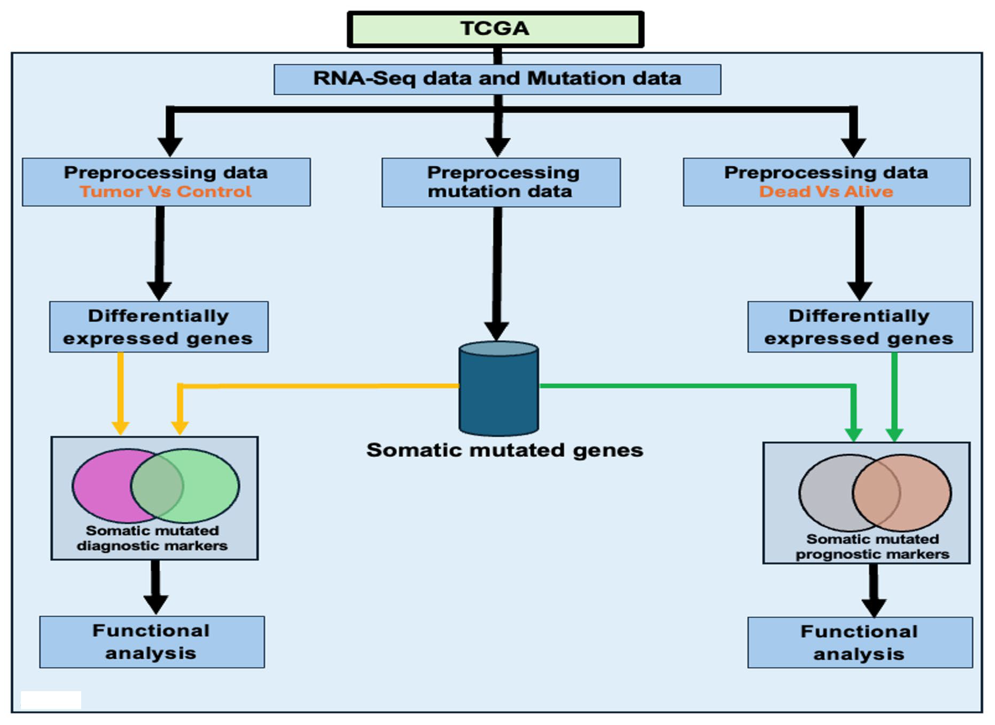 Biomedicines 13 01651 g001