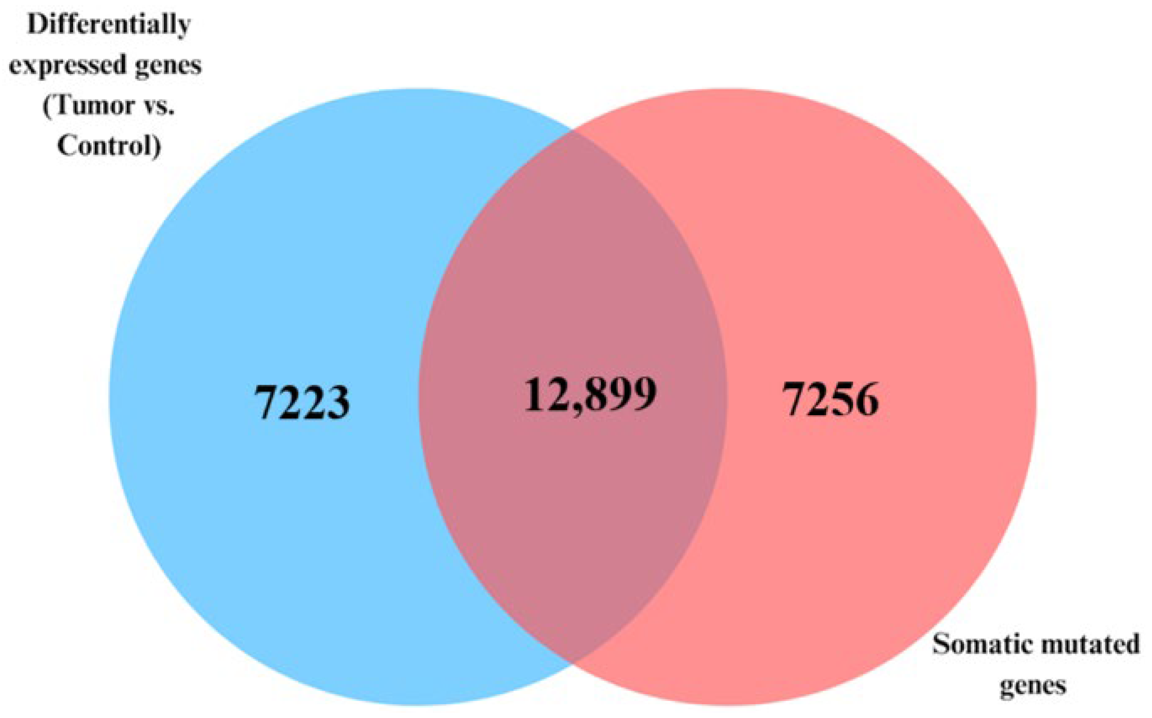 Biomedicines 13 01651 g002
