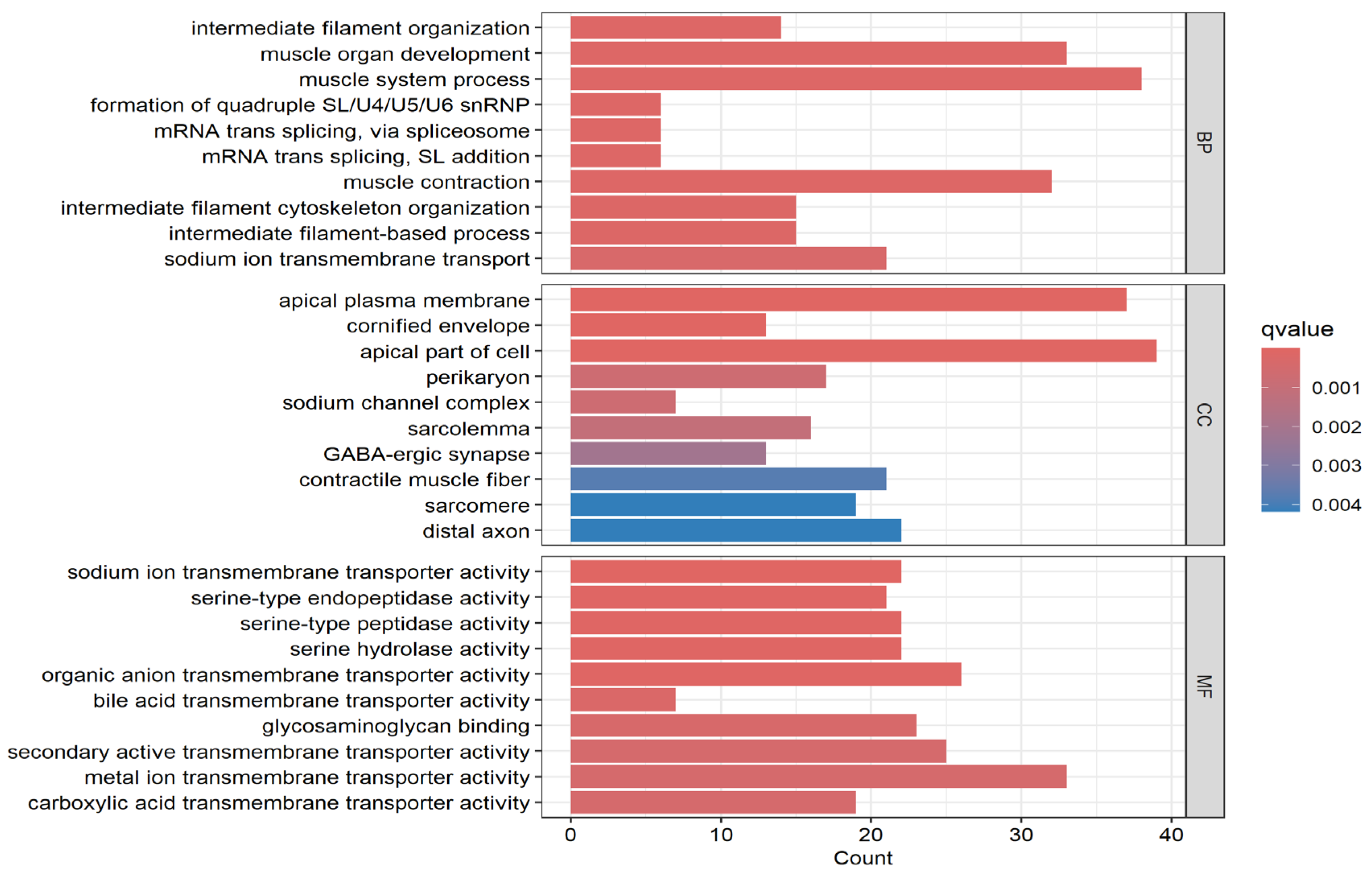 Biomedicines 13 01651 g004