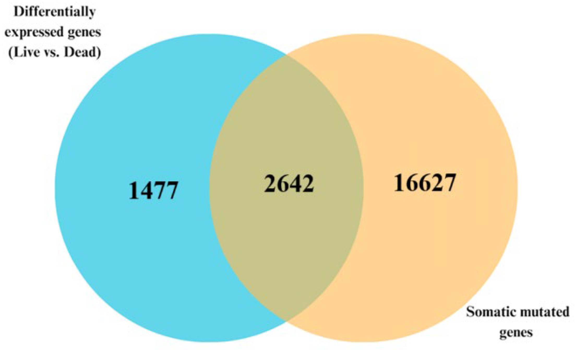 Biomedicines 13 01651 g006