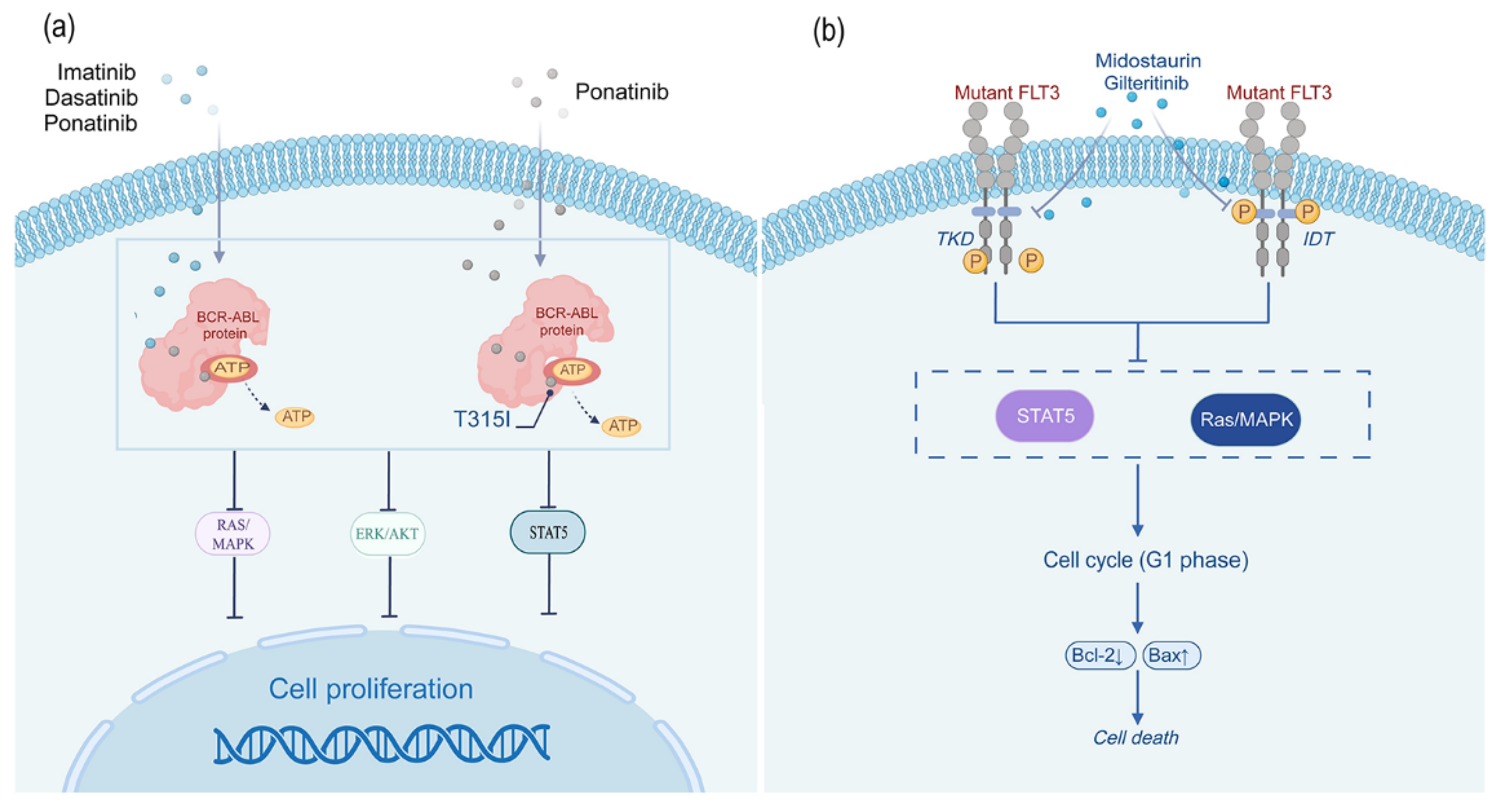 Biomedicines 13 01652 g002 Biomedicines 13 01652 g002