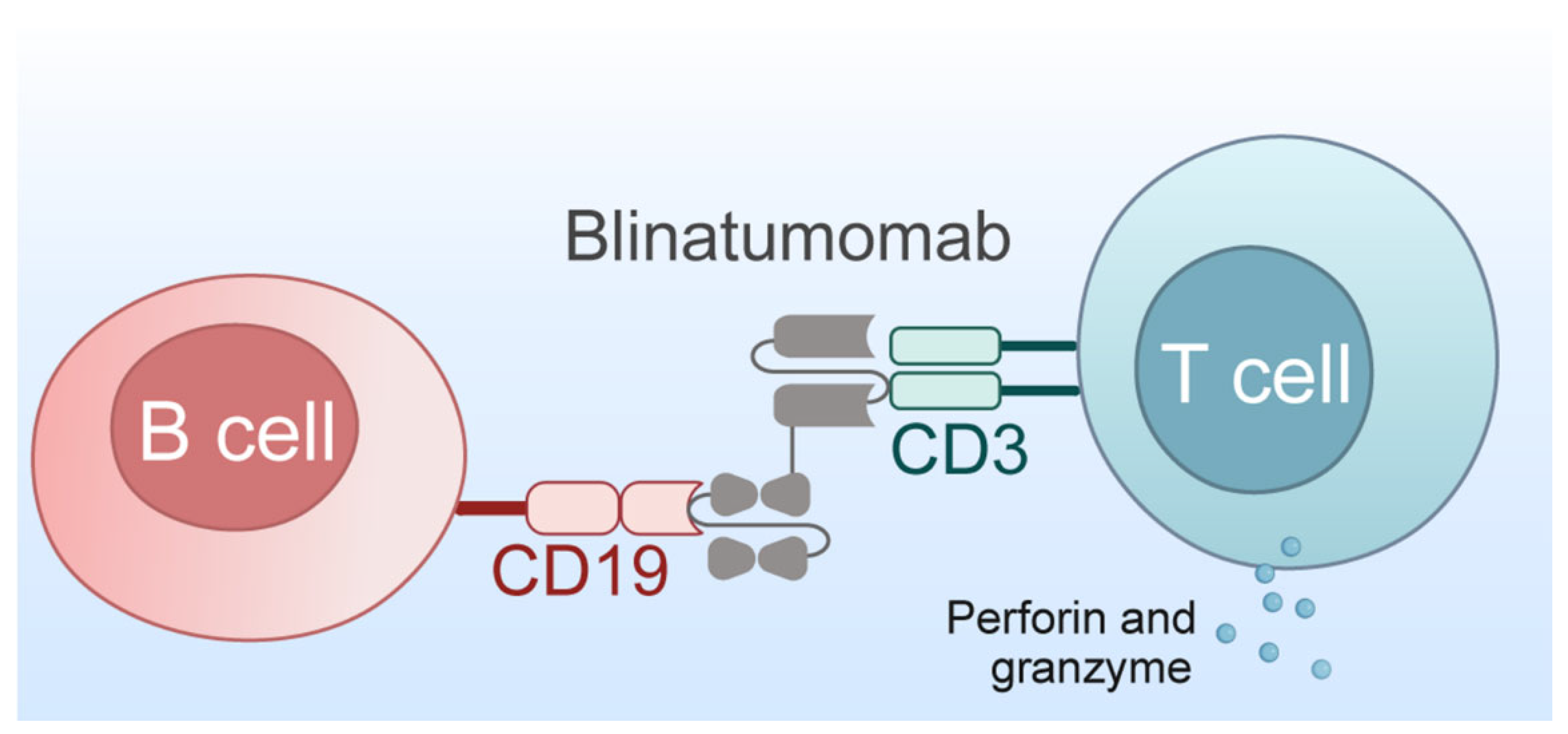 Biomedicines 13 01652 g005 Biomedicines 13 01652 g005