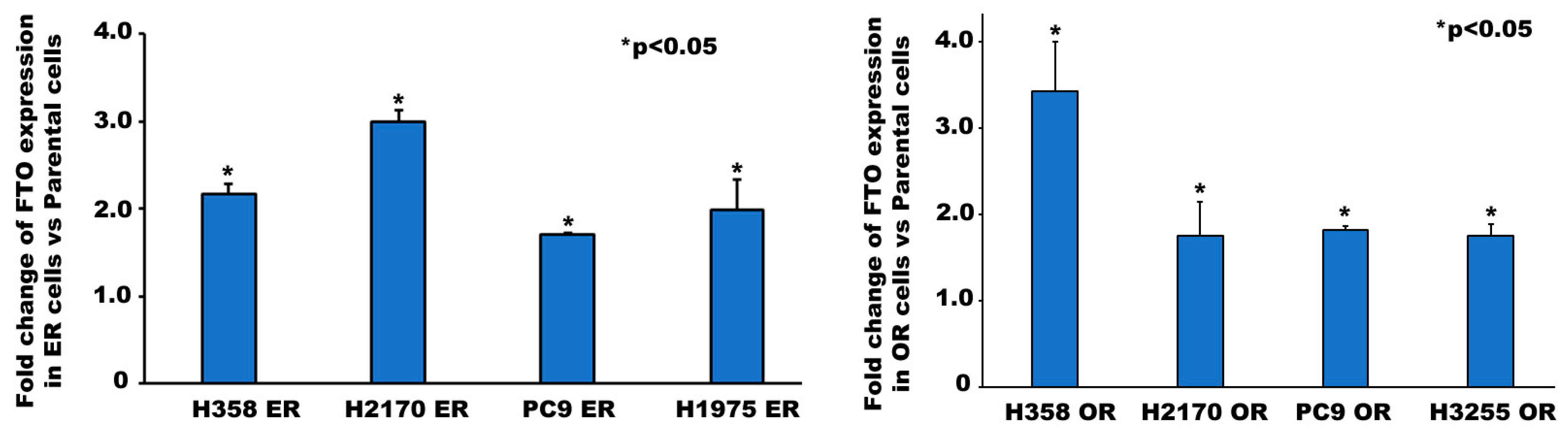 Biomedicines 13 01653 g003