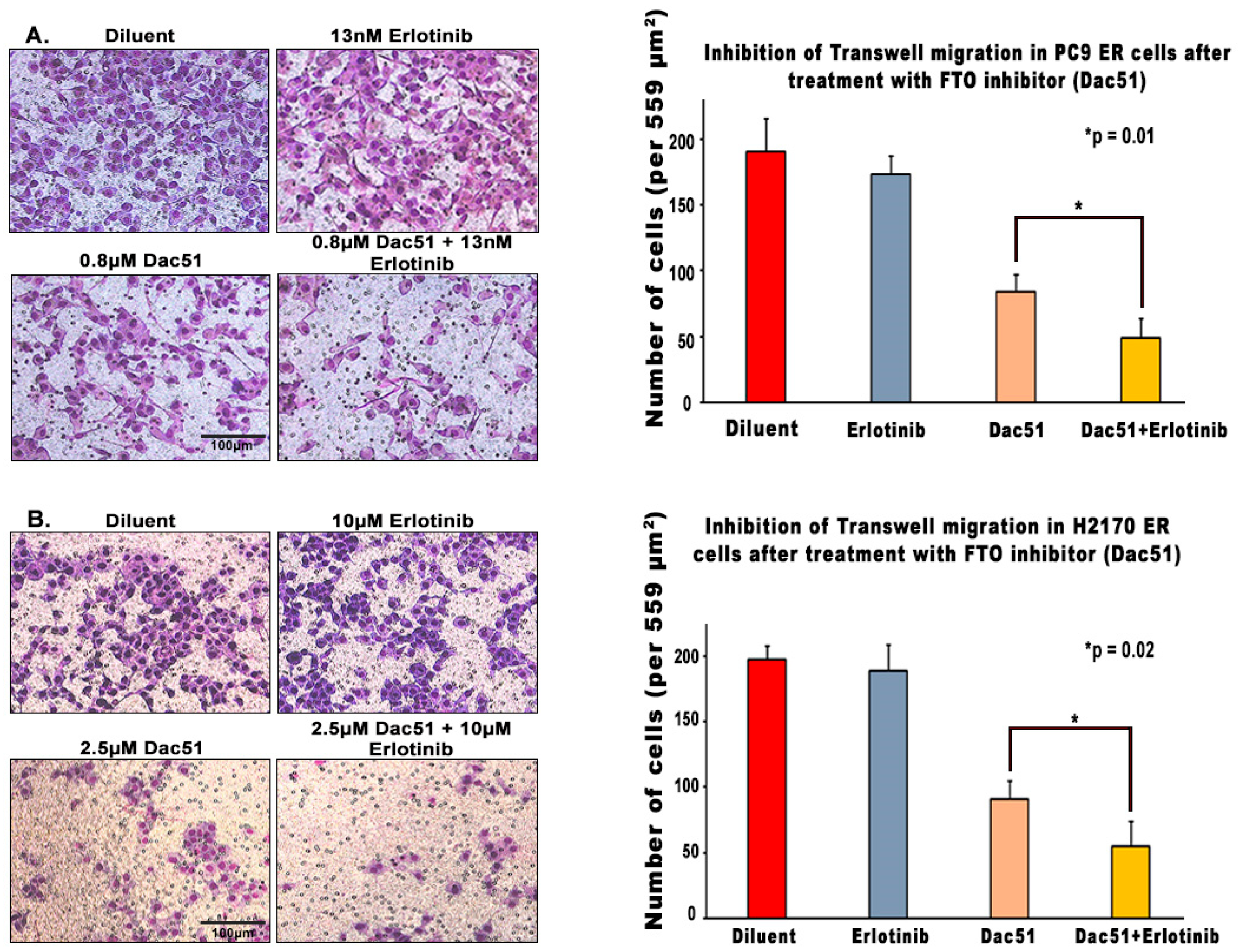 Biomedicines 13 01653 g008