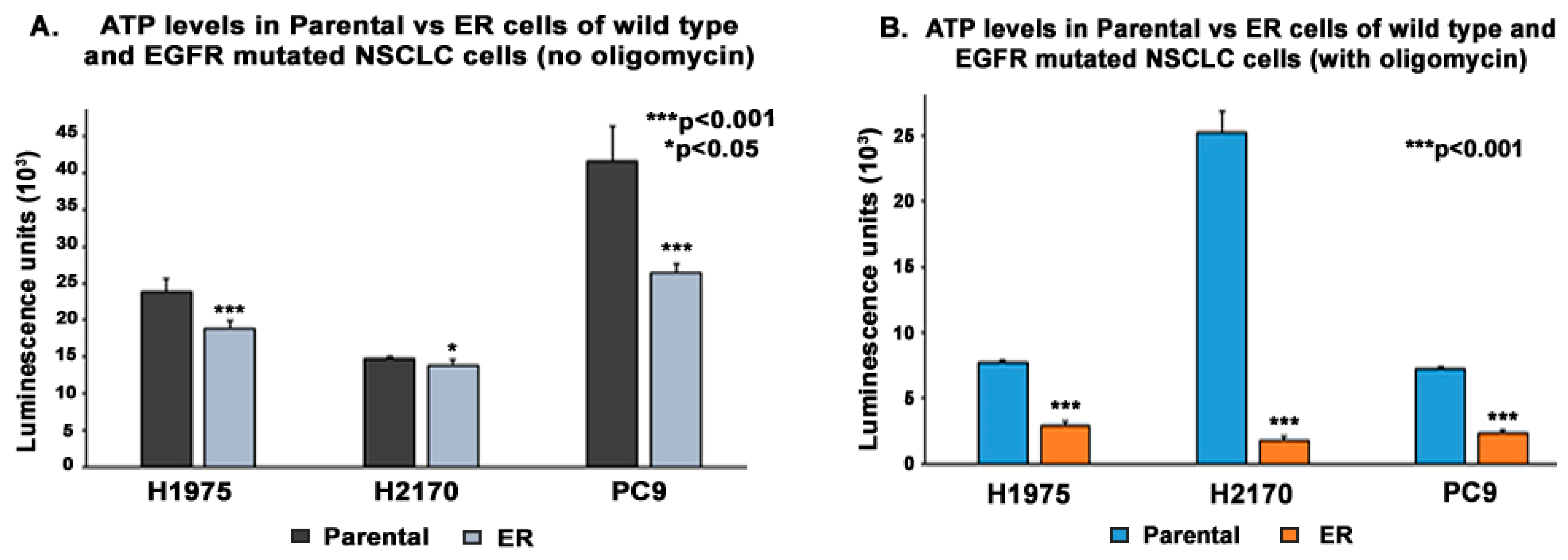Biomedicines 13 01653 g009