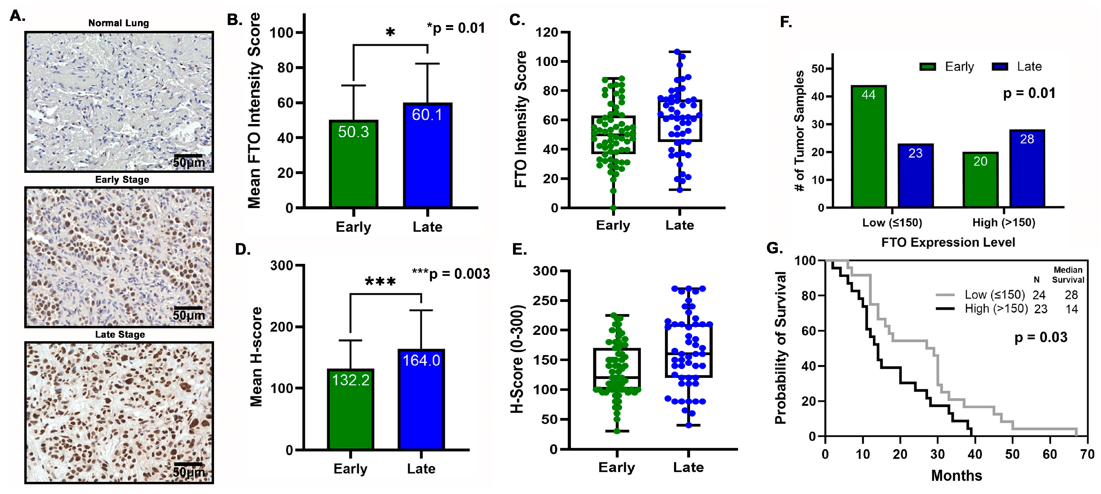 Biomedicines 13 01653 g011
