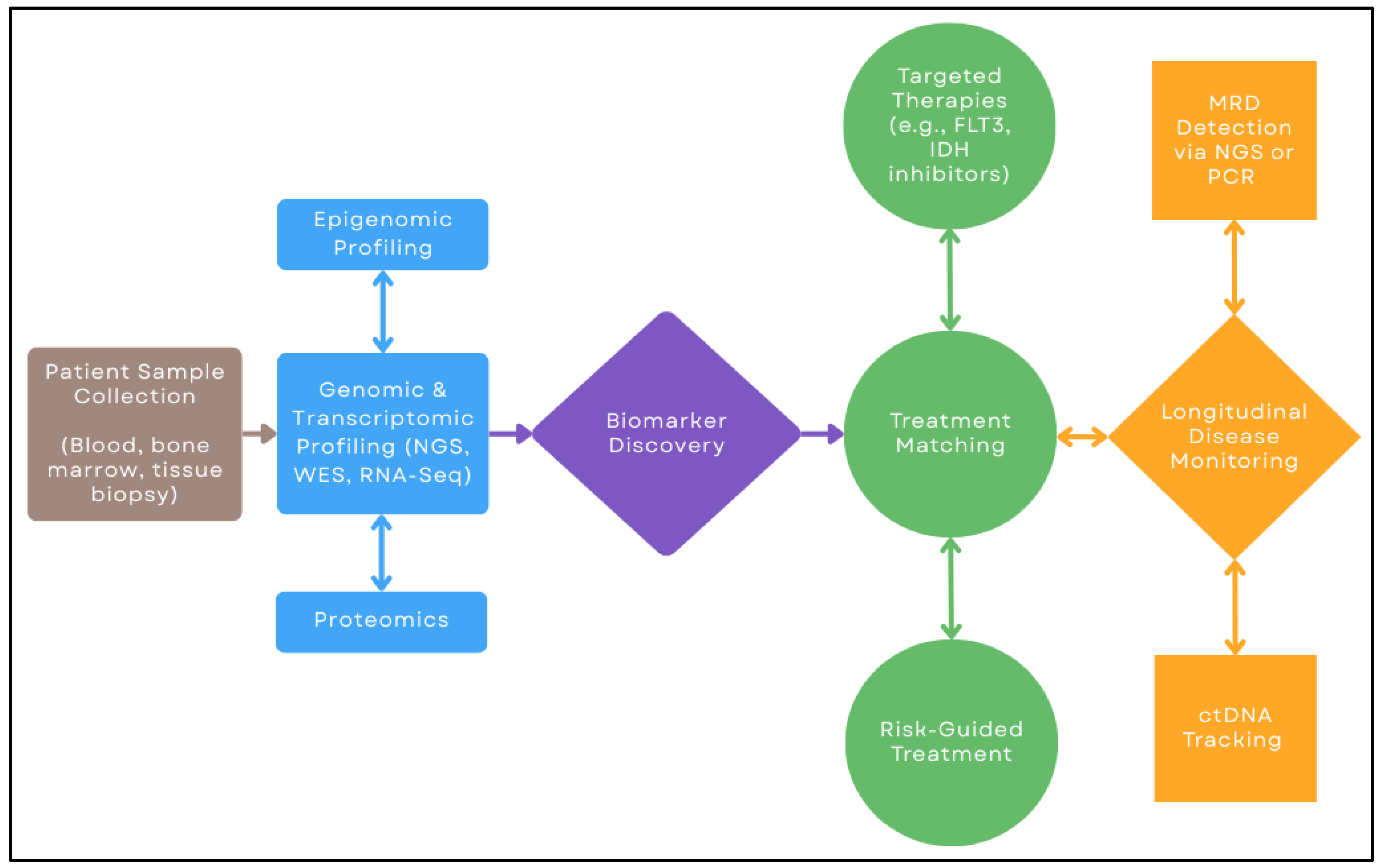 Biomedicines 13 01654 g001
