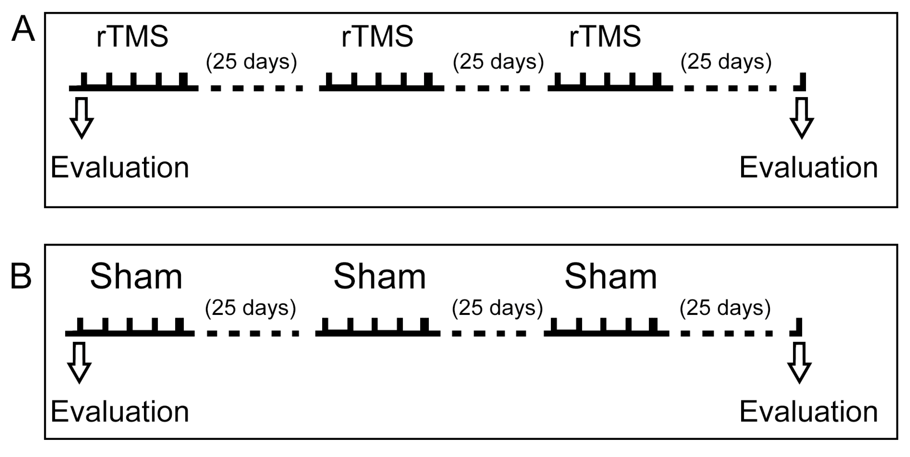 Biomedicines 13 01663 g002
